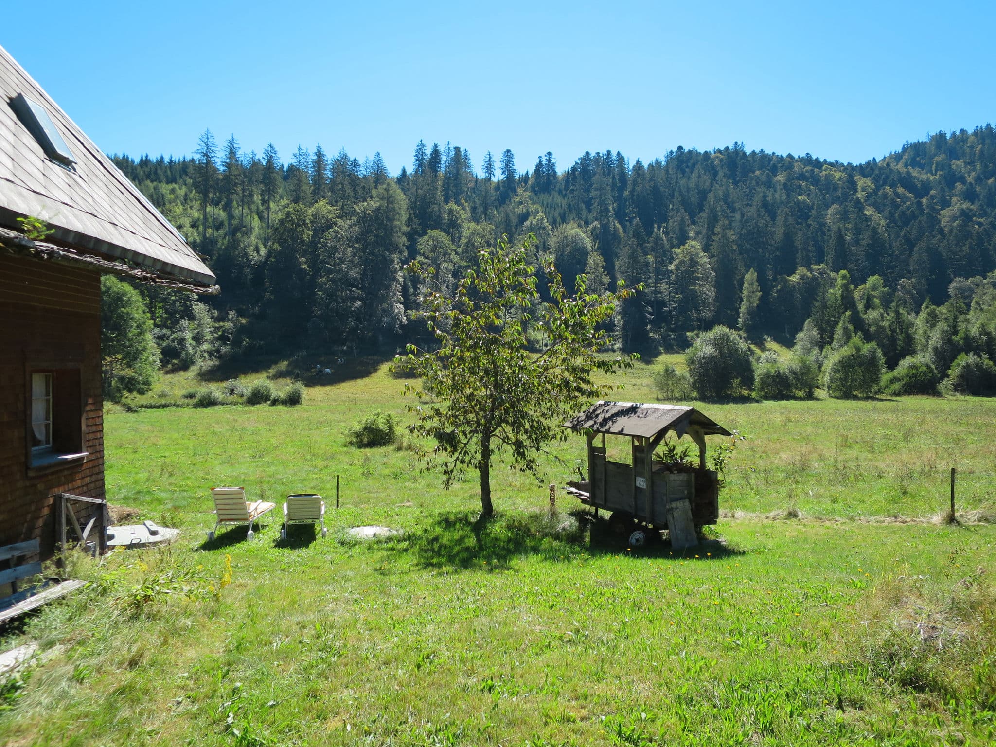 Outdoor