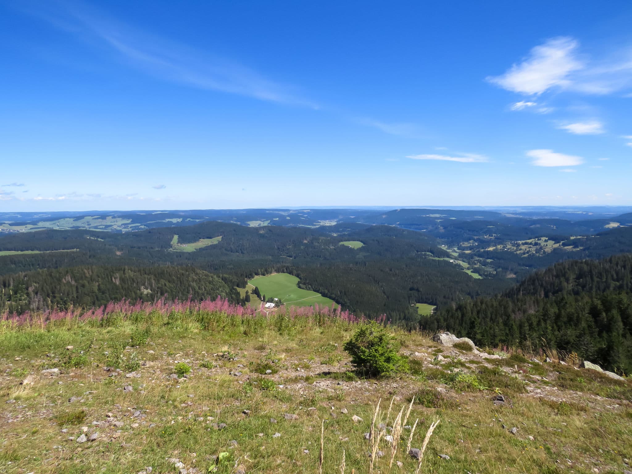 View