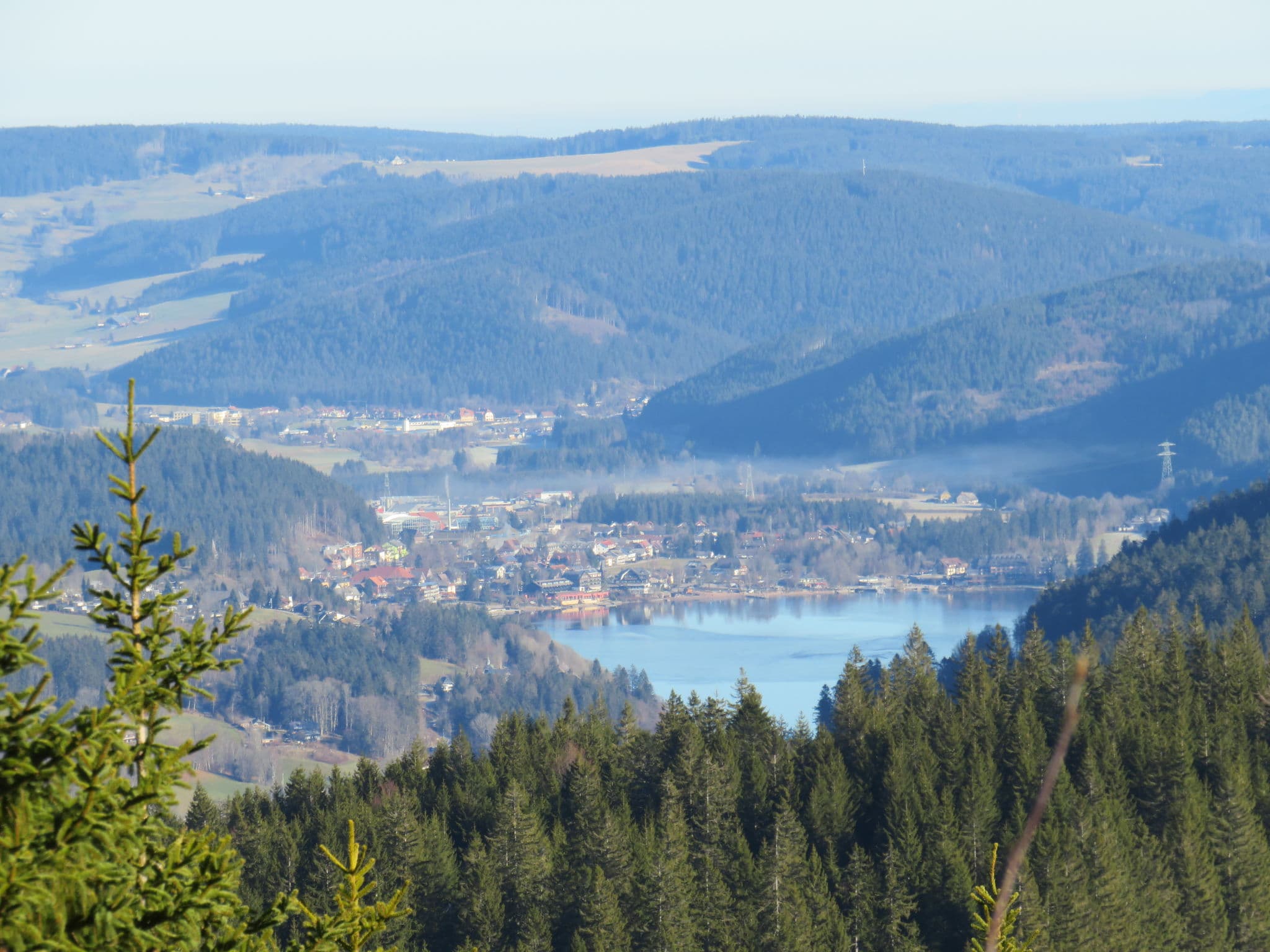 View
