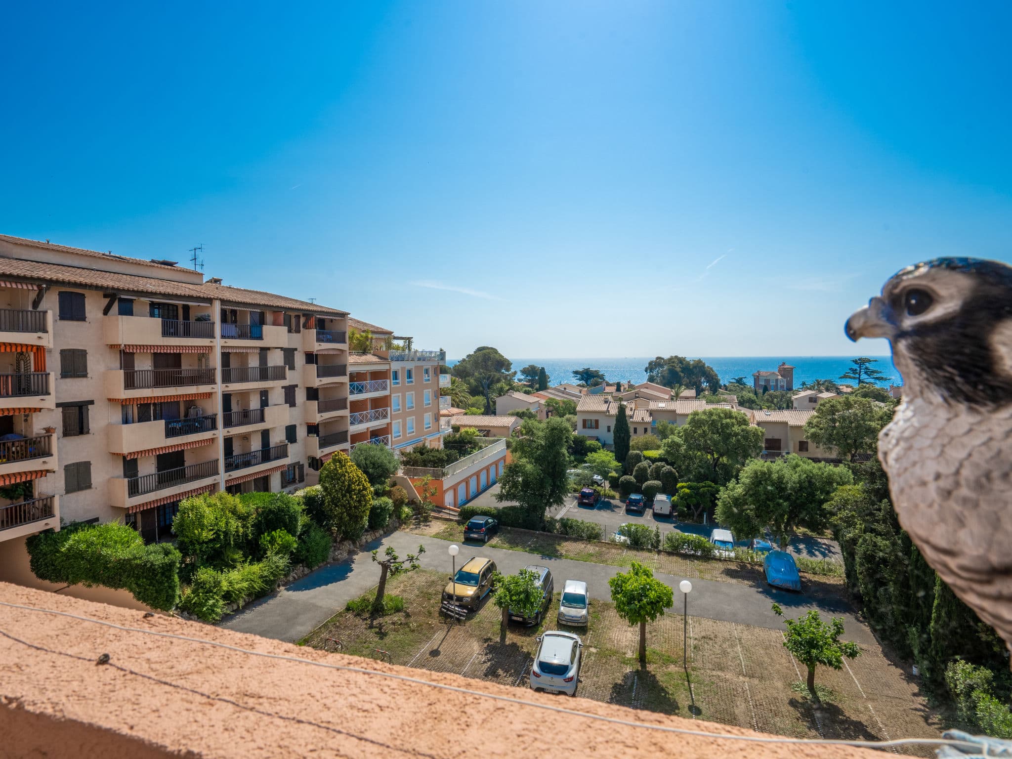 View