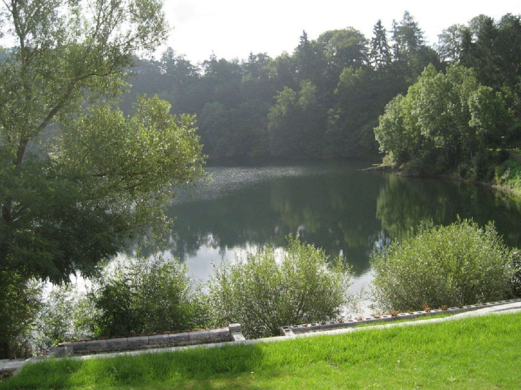 Gallery Image 14