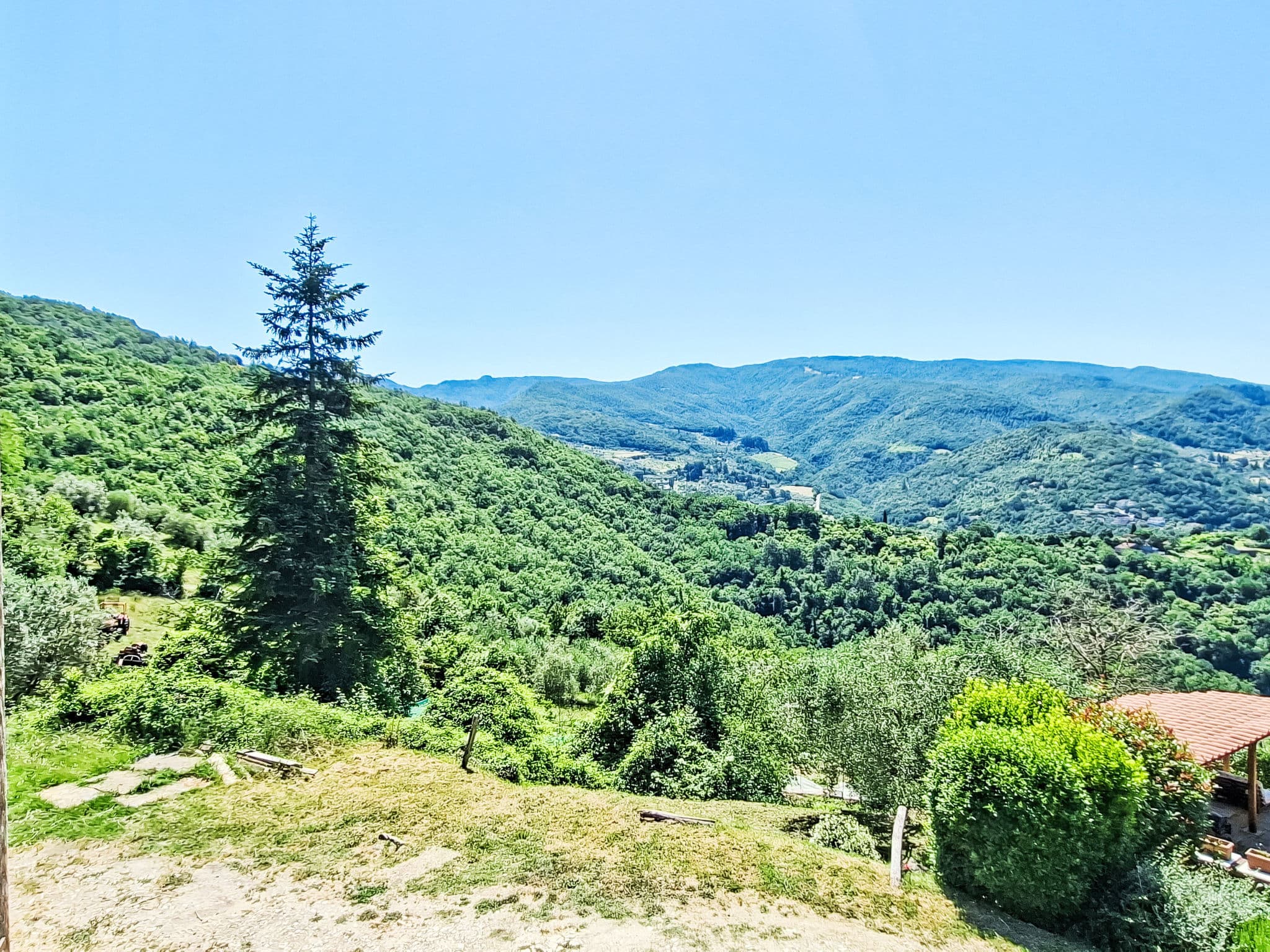 View