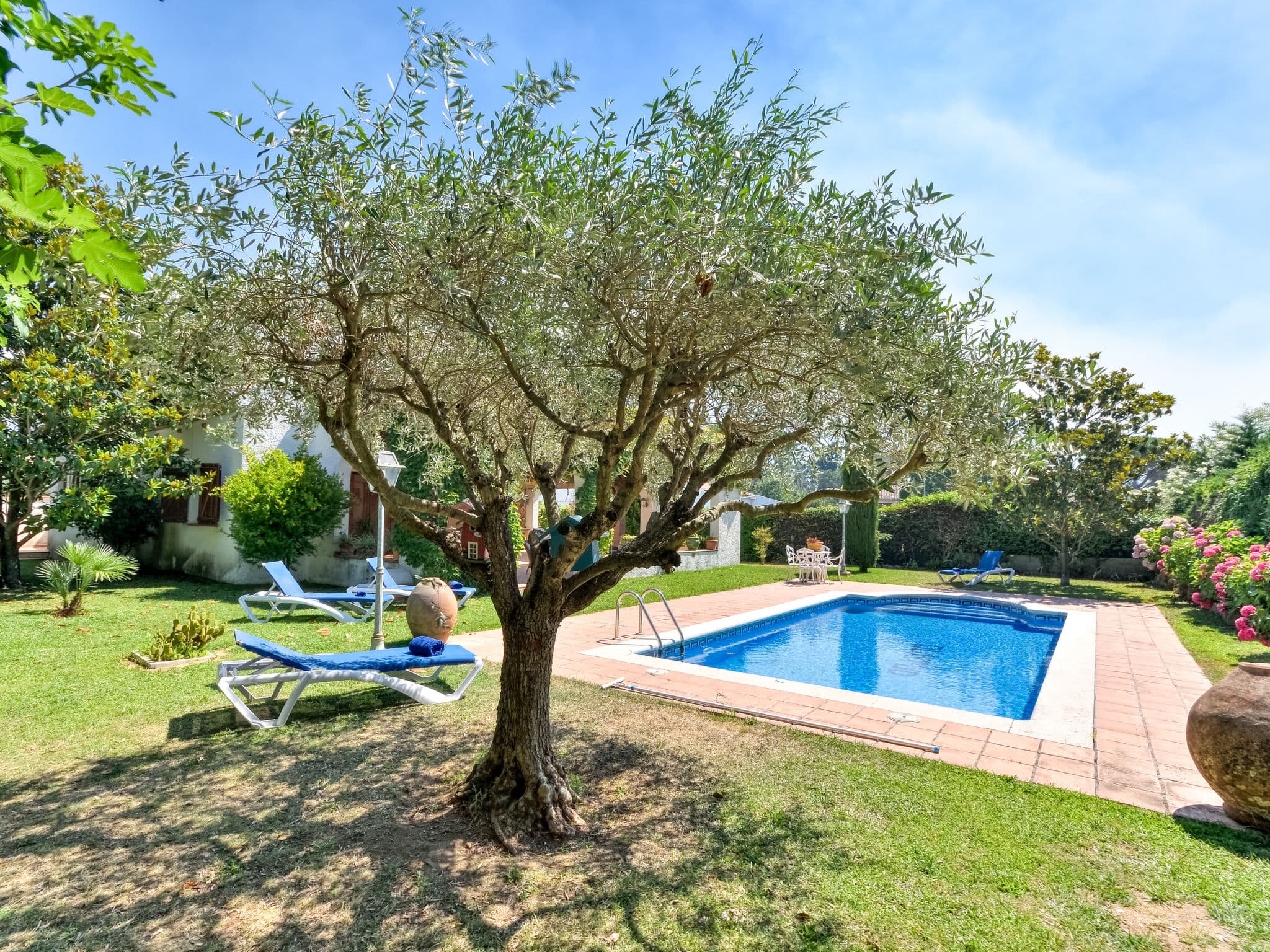 Pool Outdoor