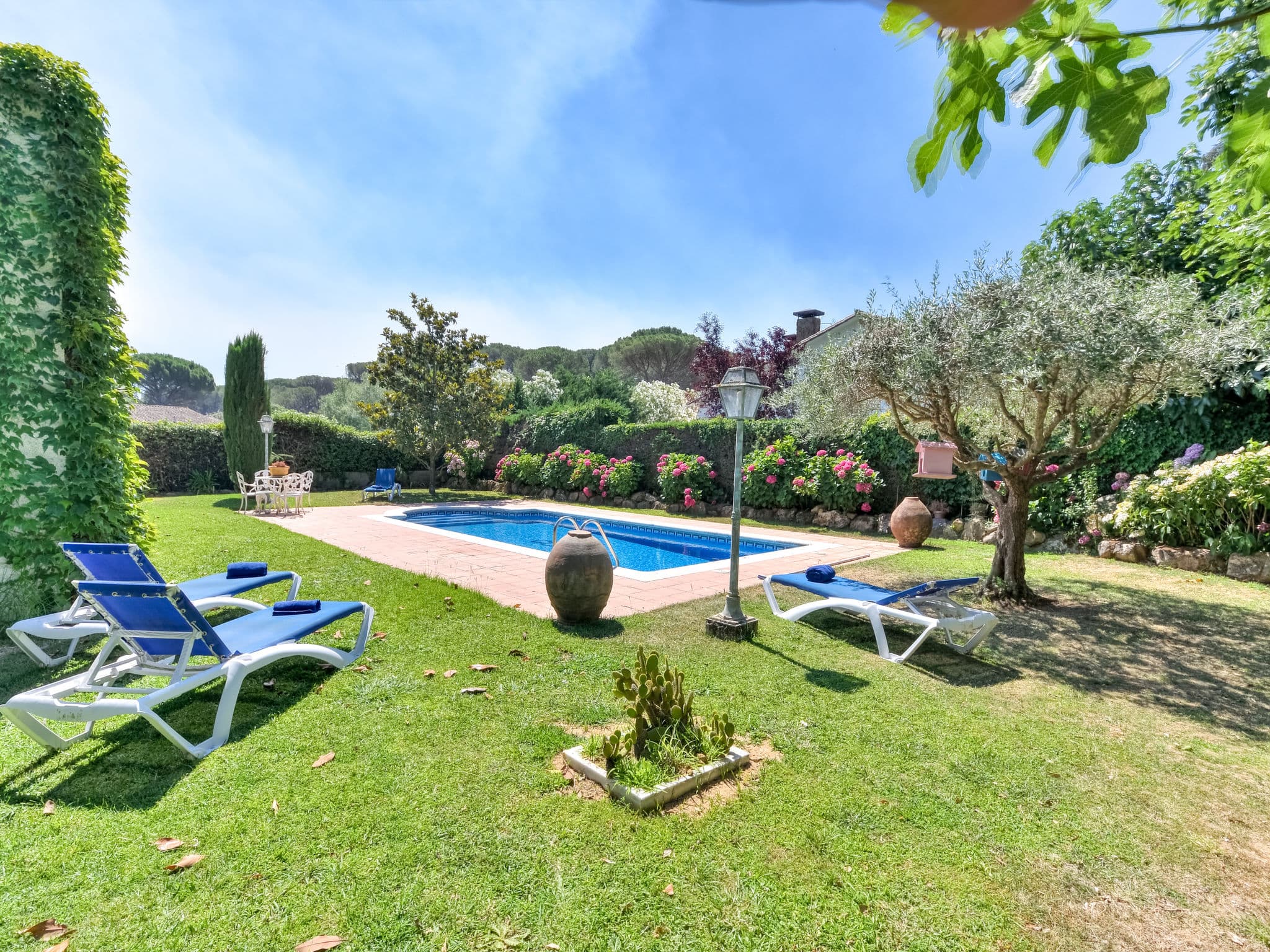 Pool Outdoor