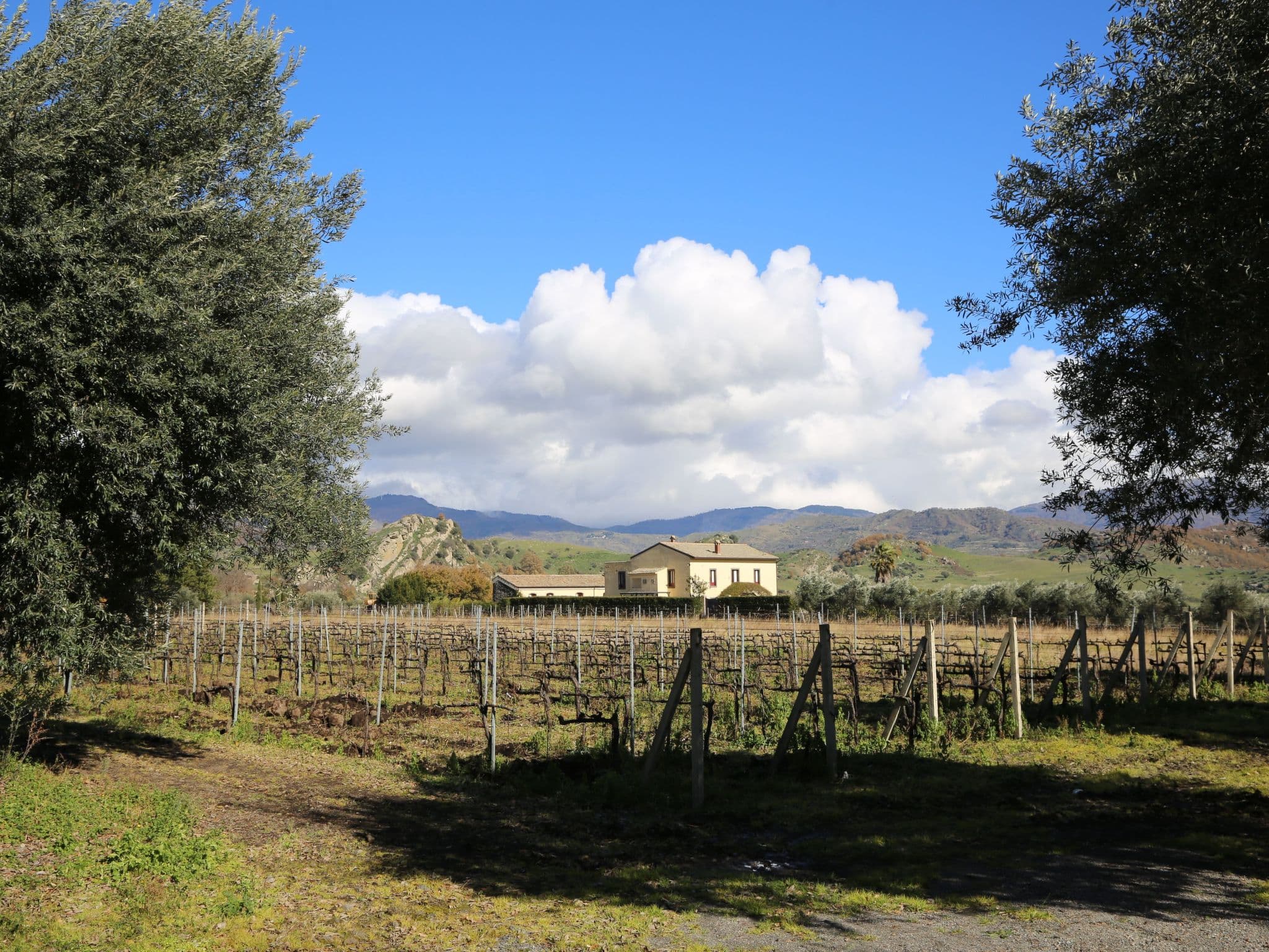 Gallery Image 16