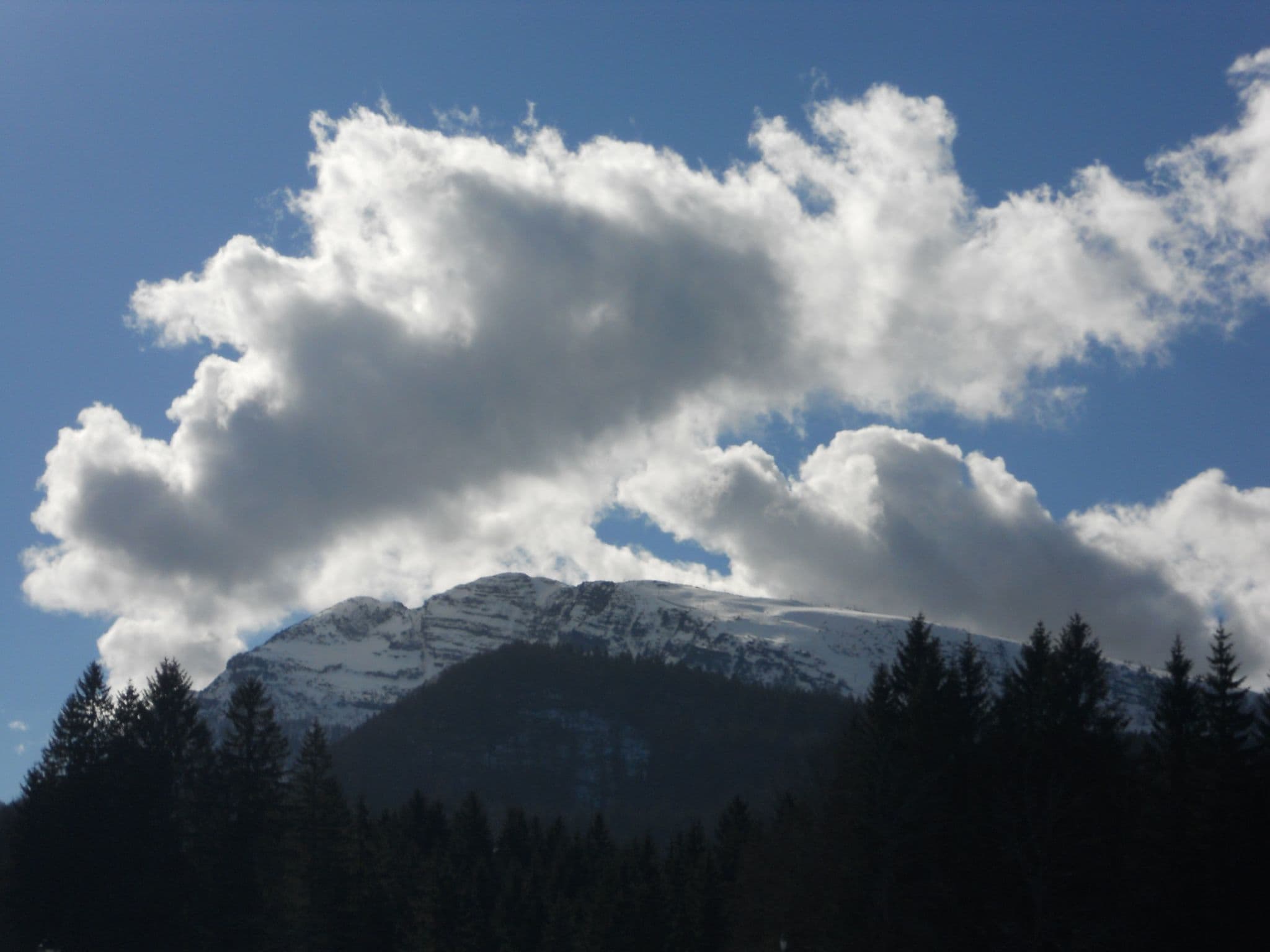 Gallery Image 16