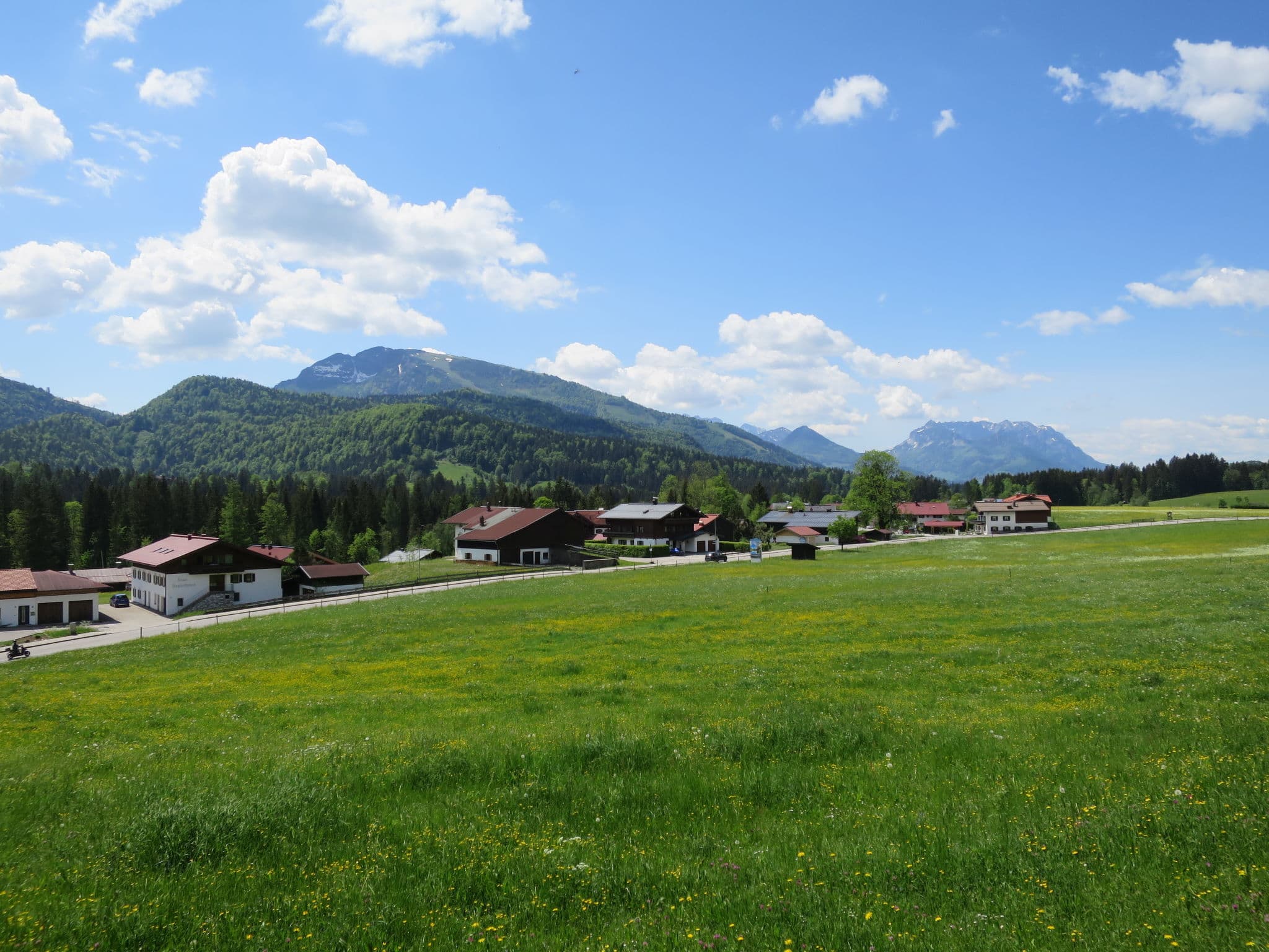 View