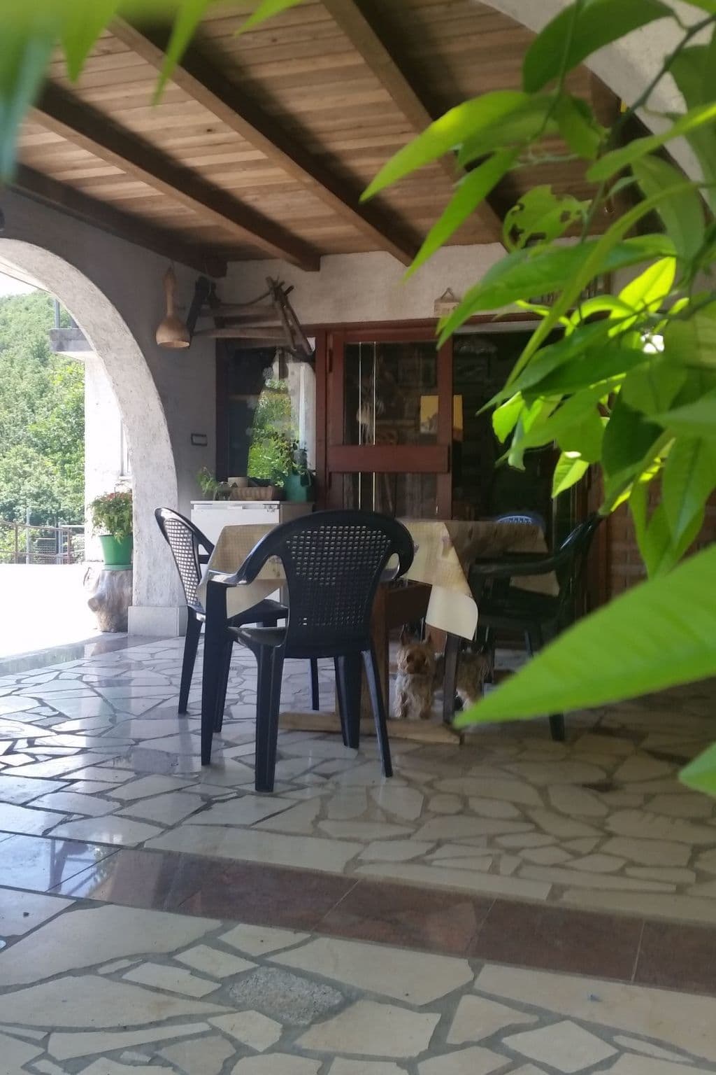 Gallery Image 45
