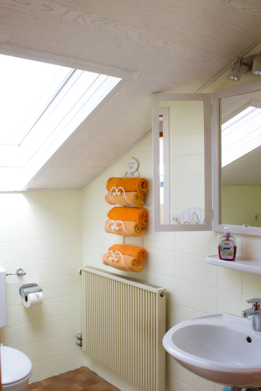 Bathroom / Wellness
