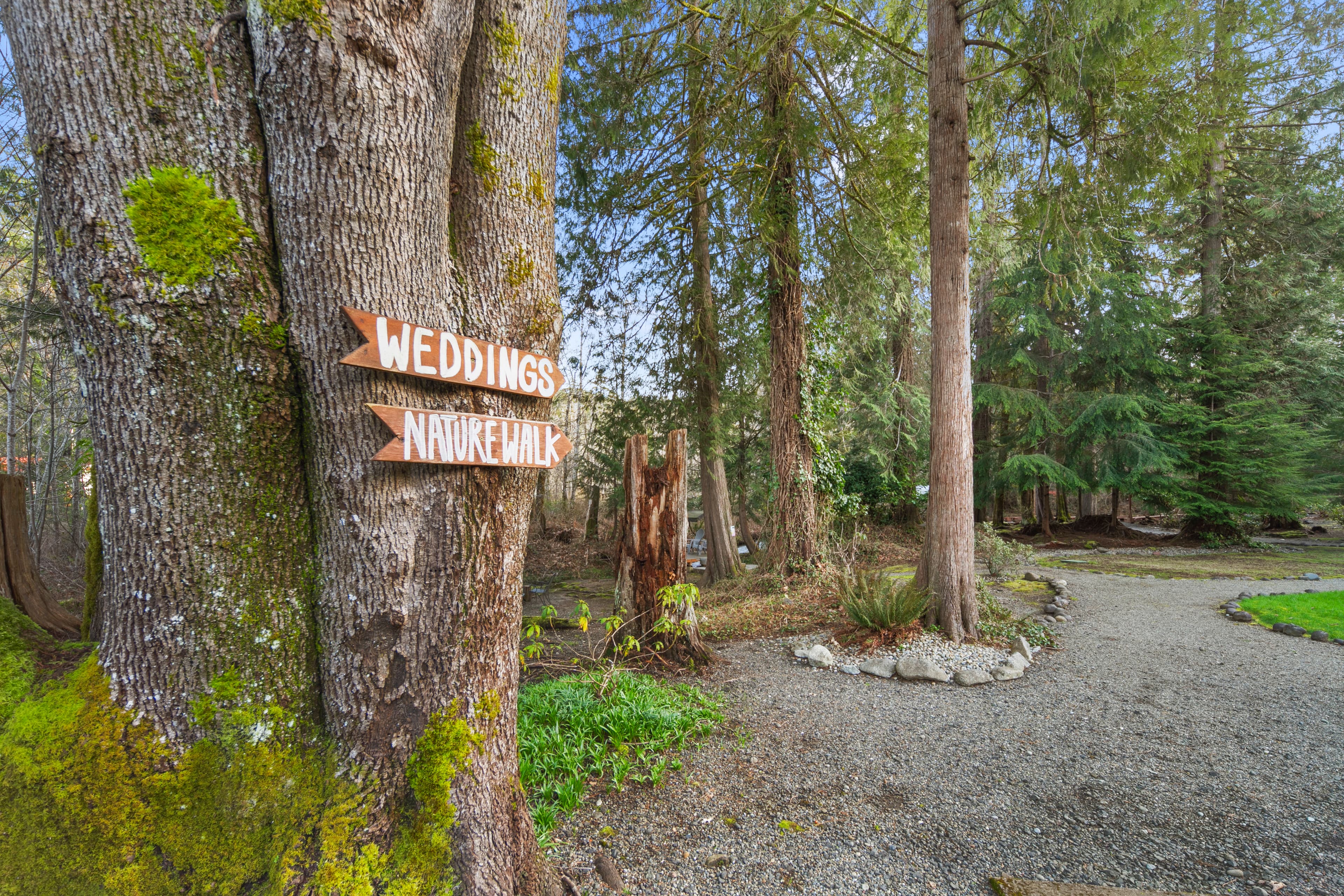 Nature Walk