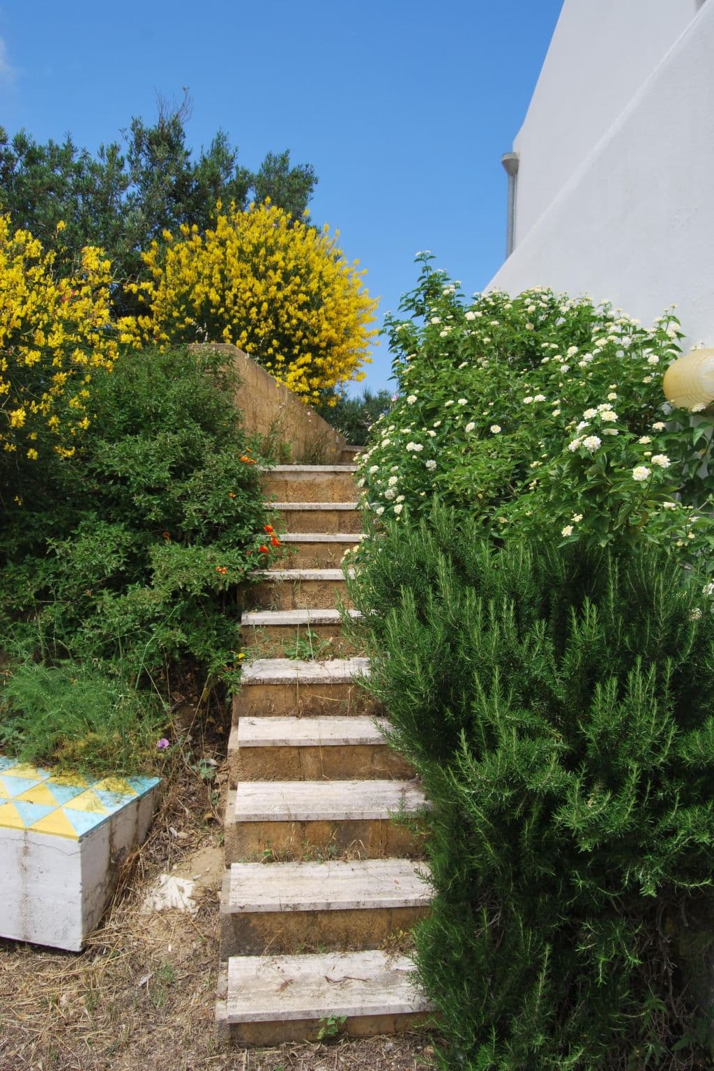 Gallery Image 42