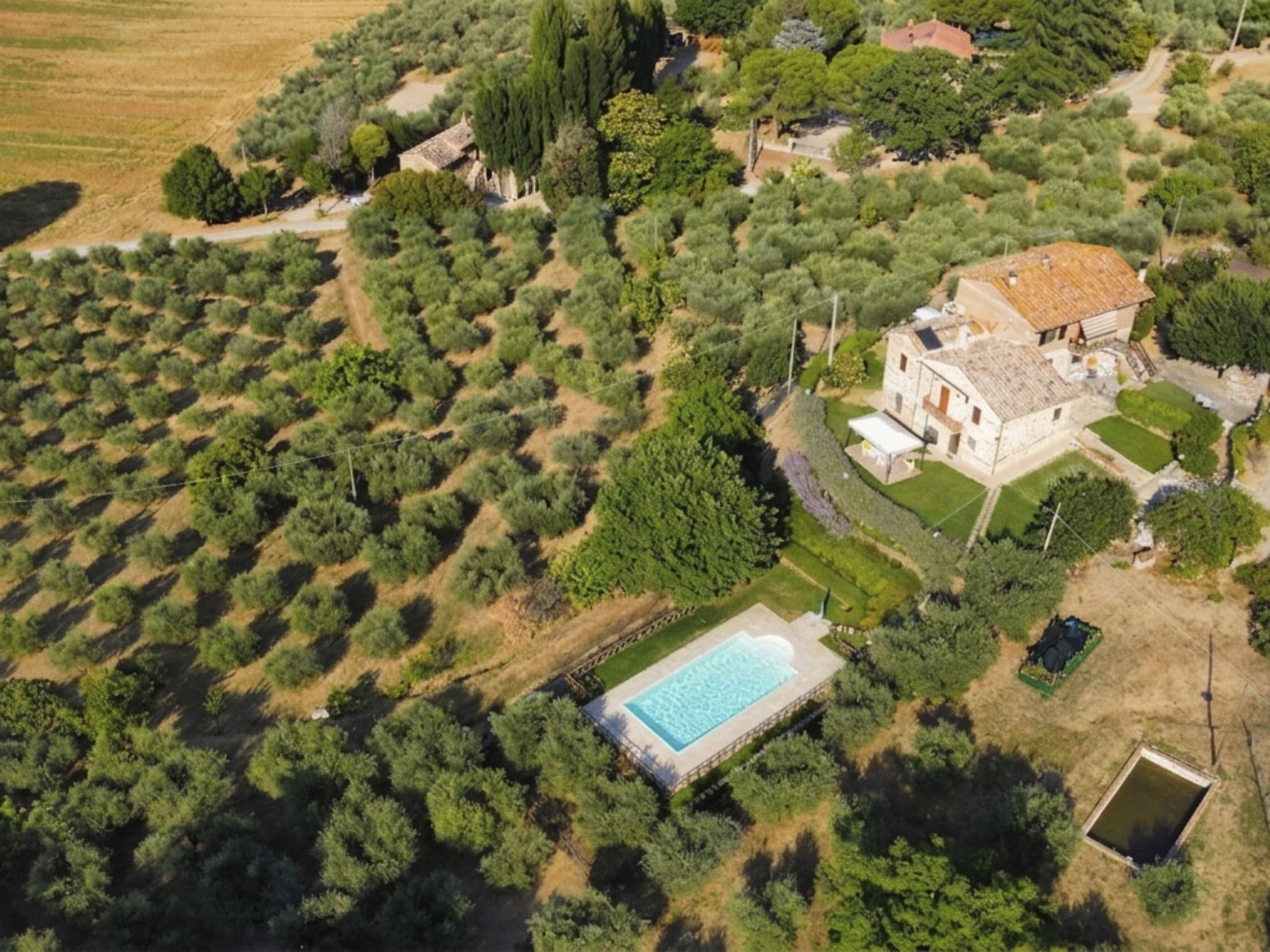 Aerial photography