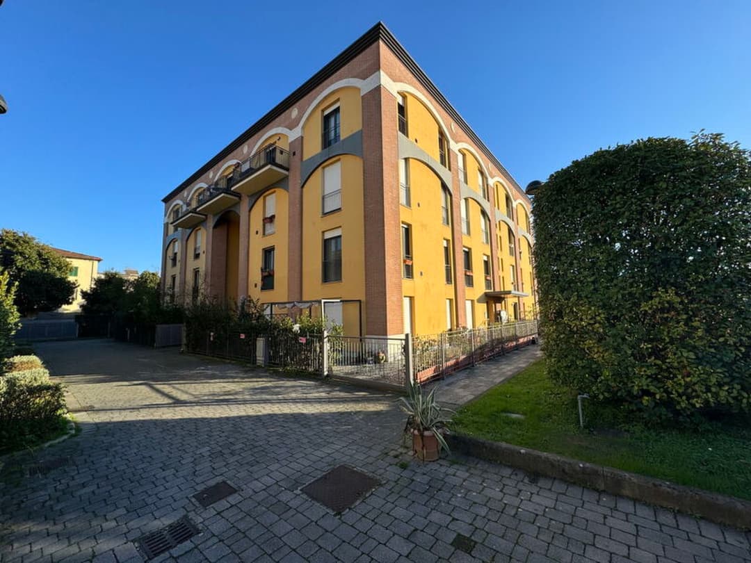 Large Image