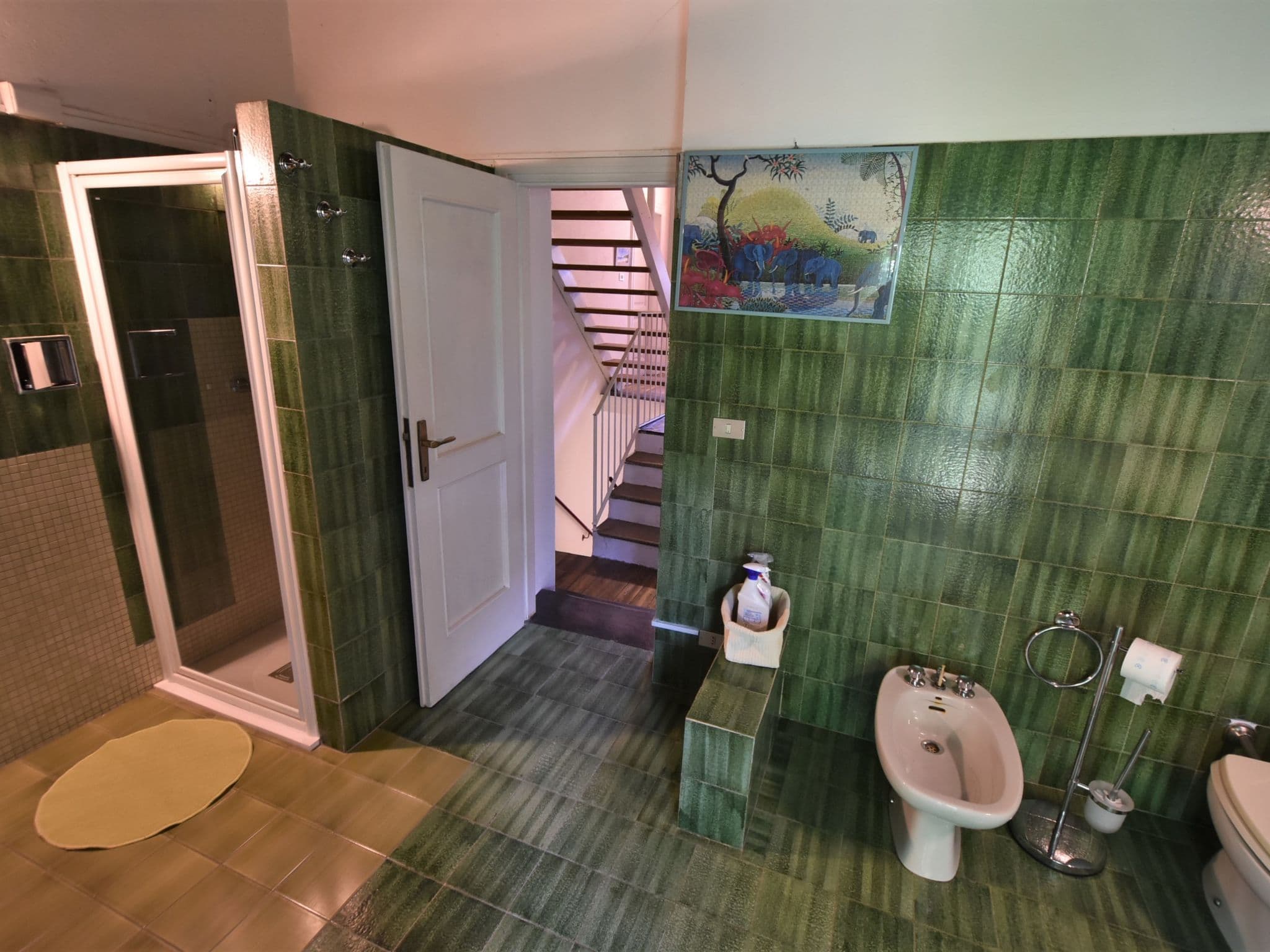 Bathroom / Wellness
