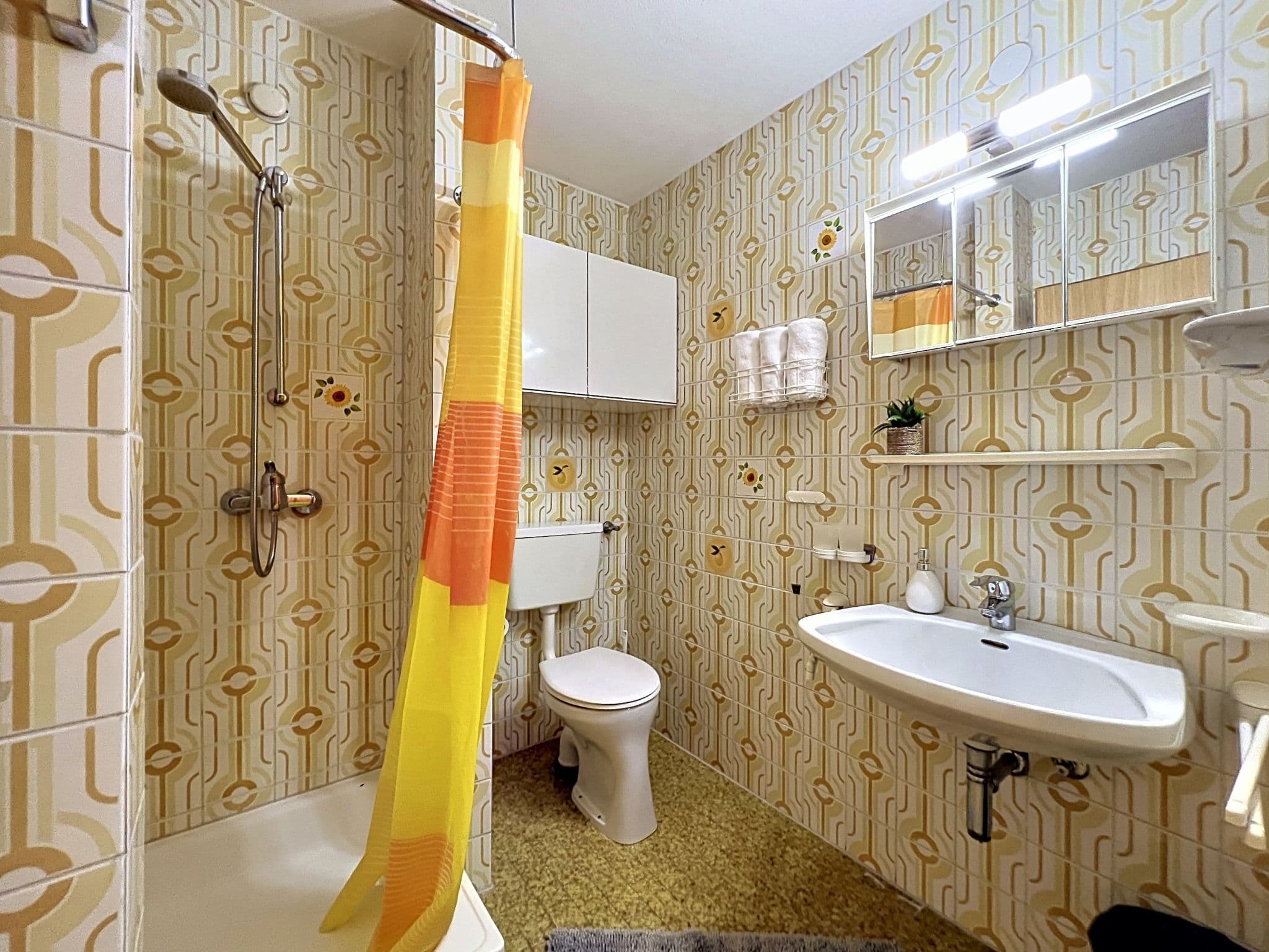 Bathroom / Wellness