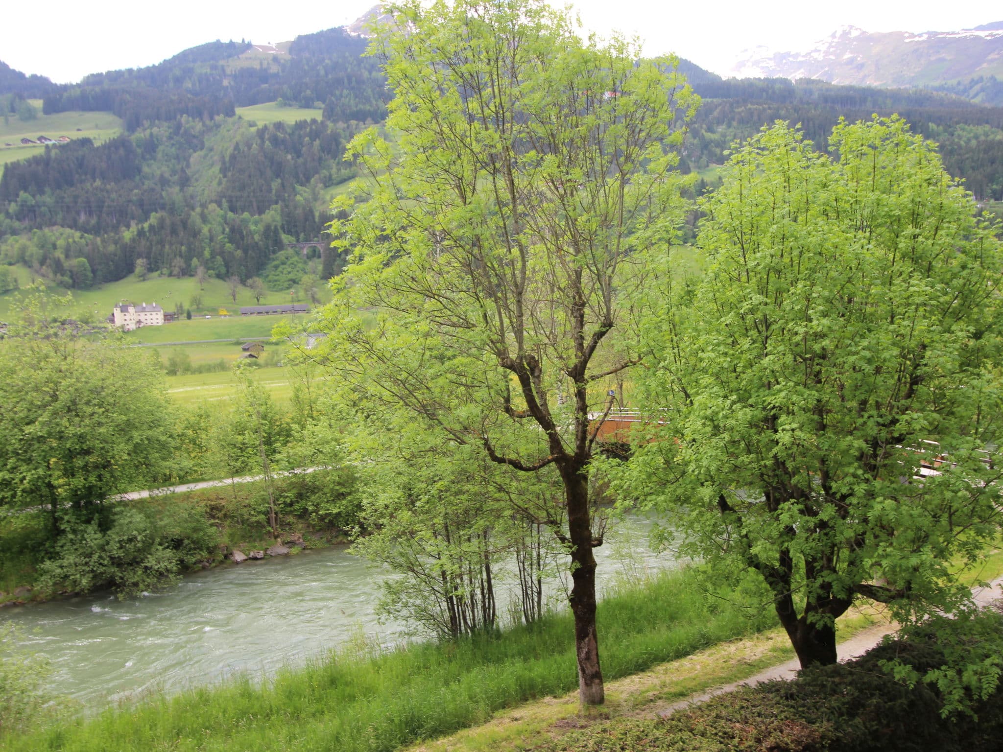 View