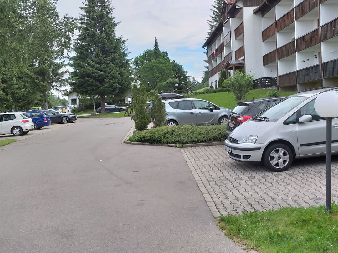 Large Image