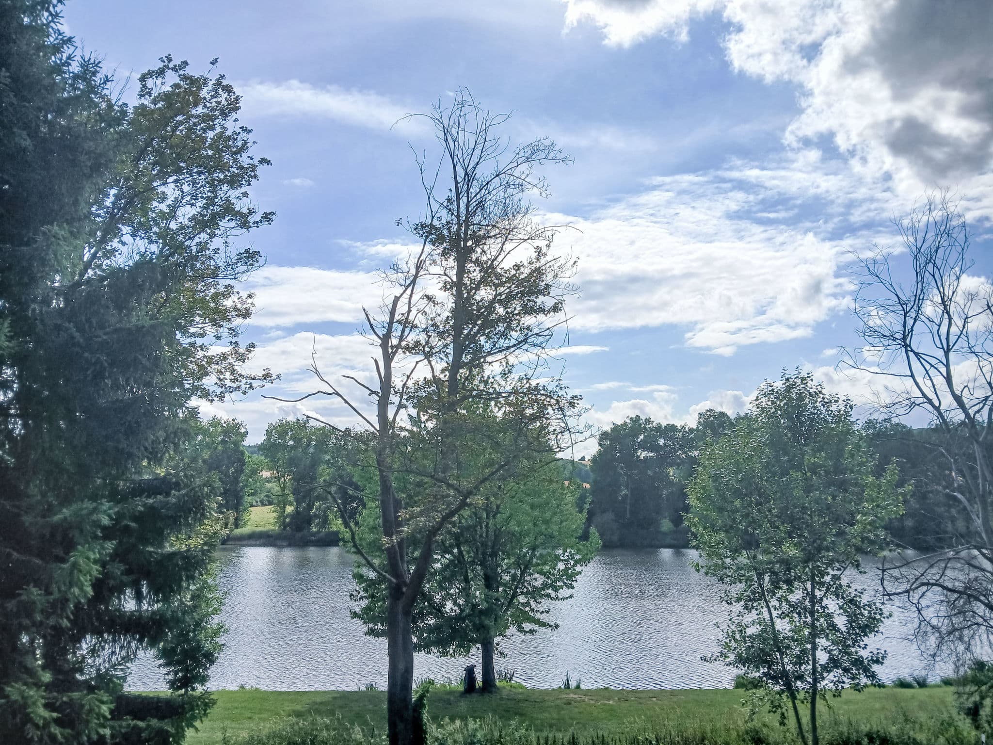 View