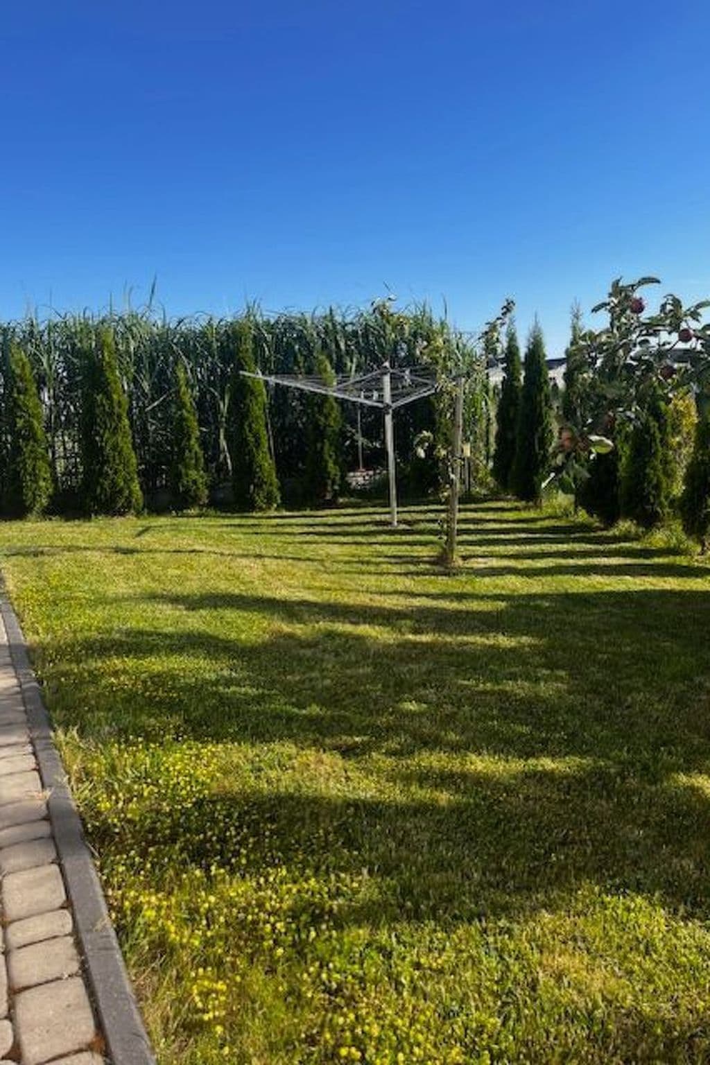 Gallery Image 60