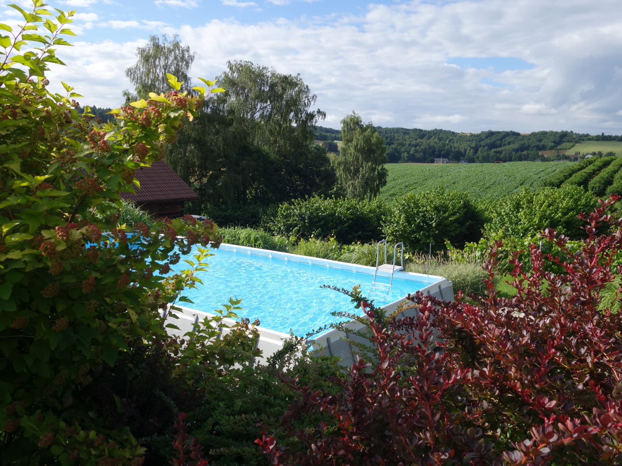 Pool Outdoor