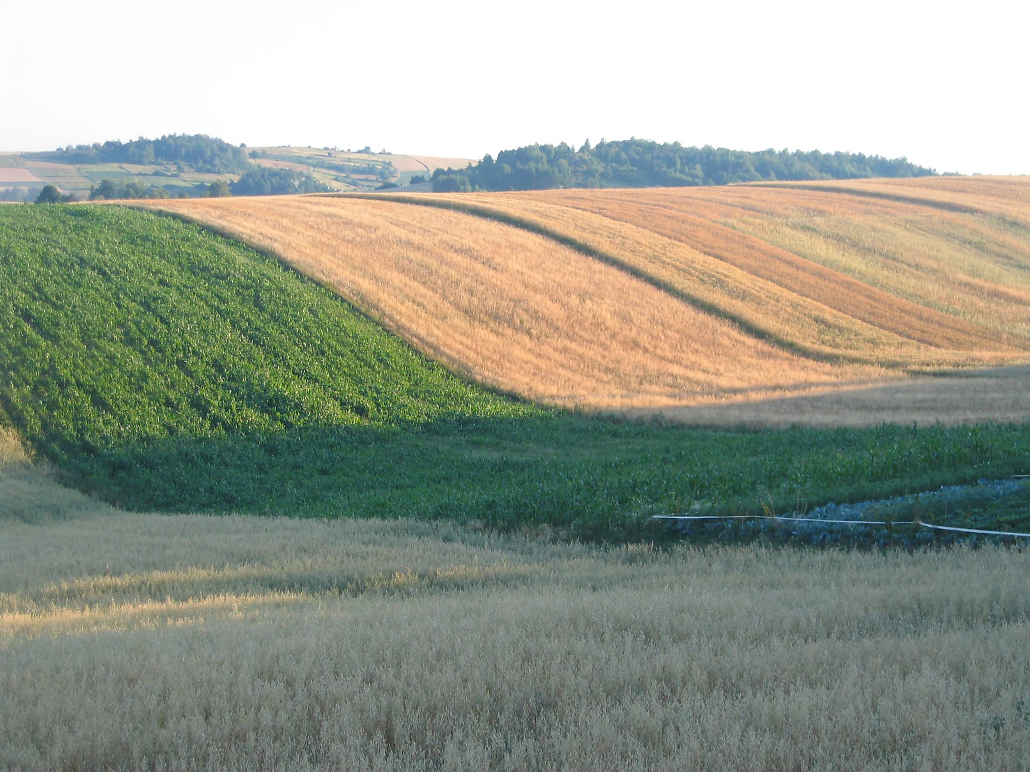 Place