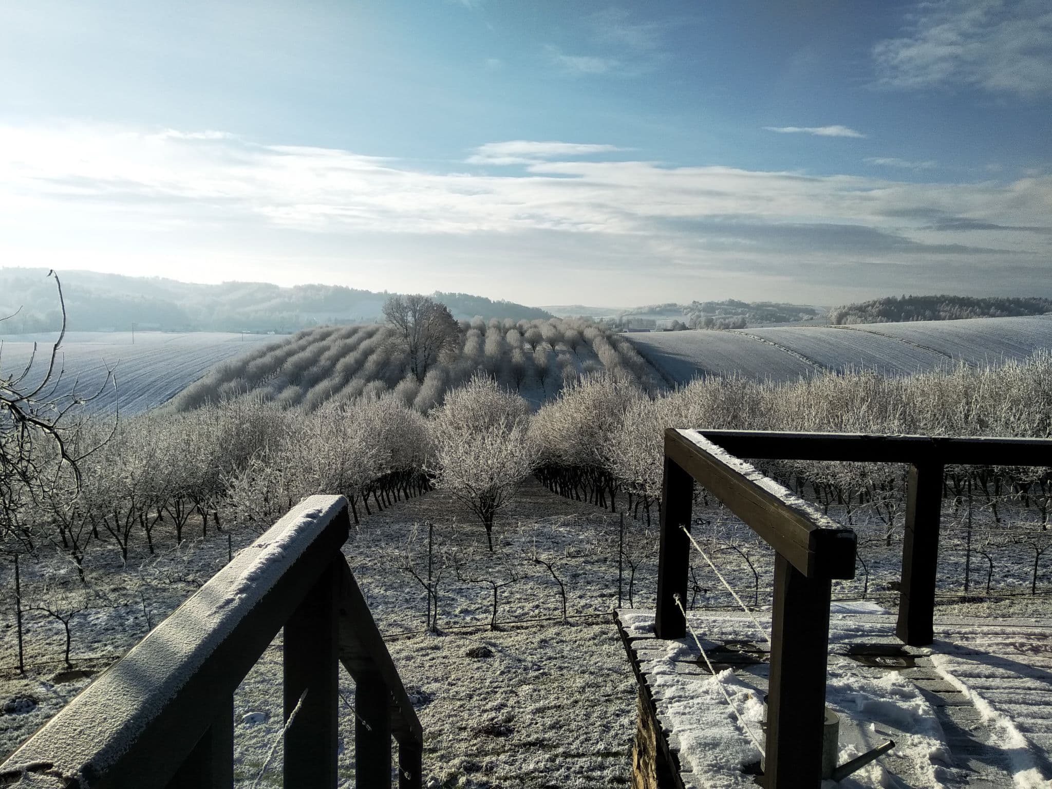 View