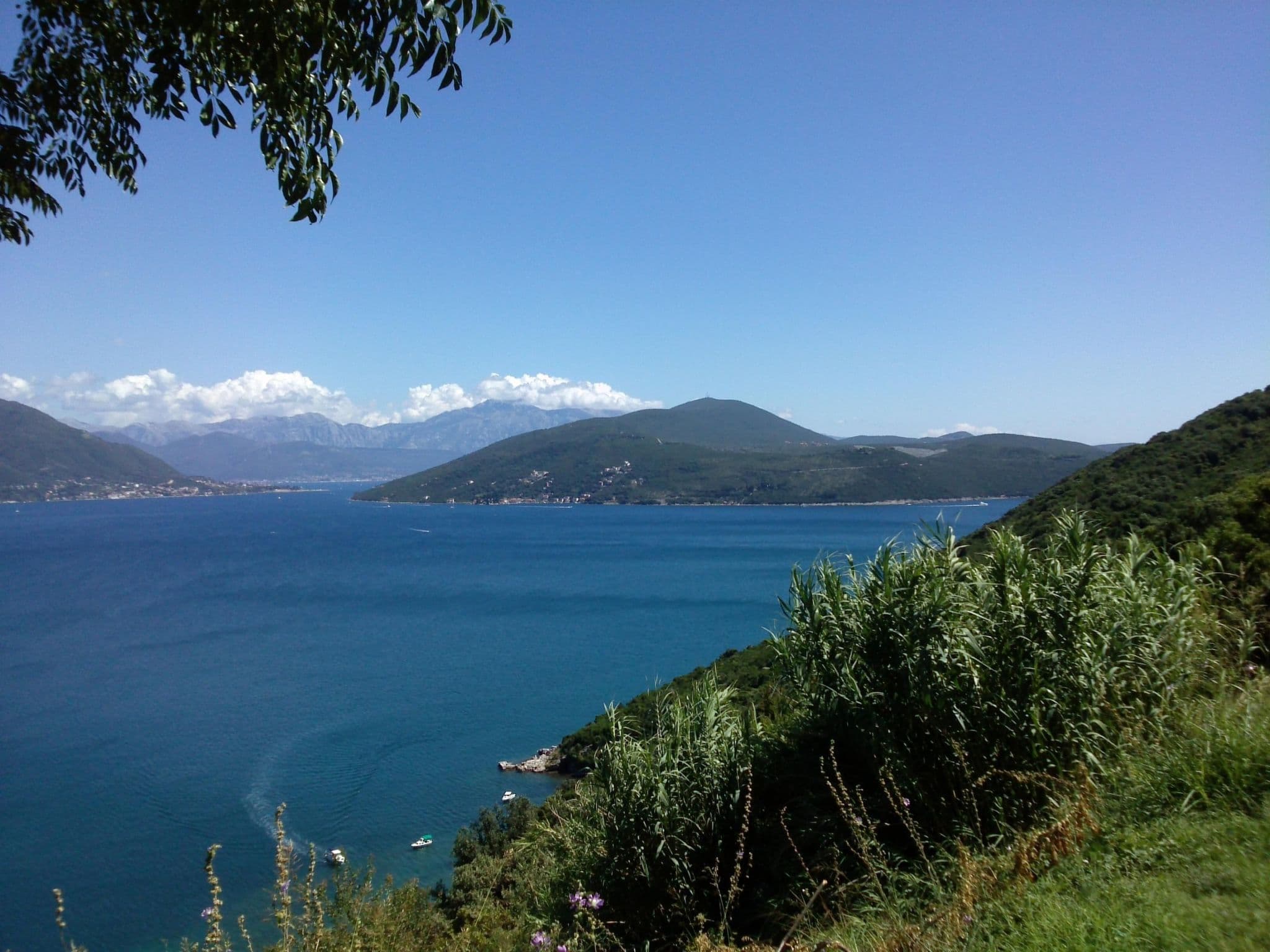 View