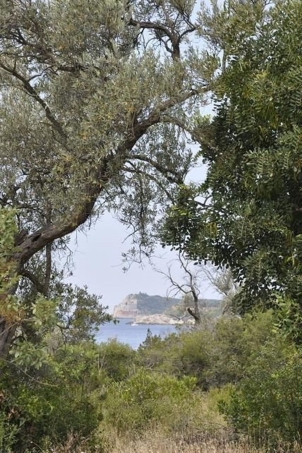 View