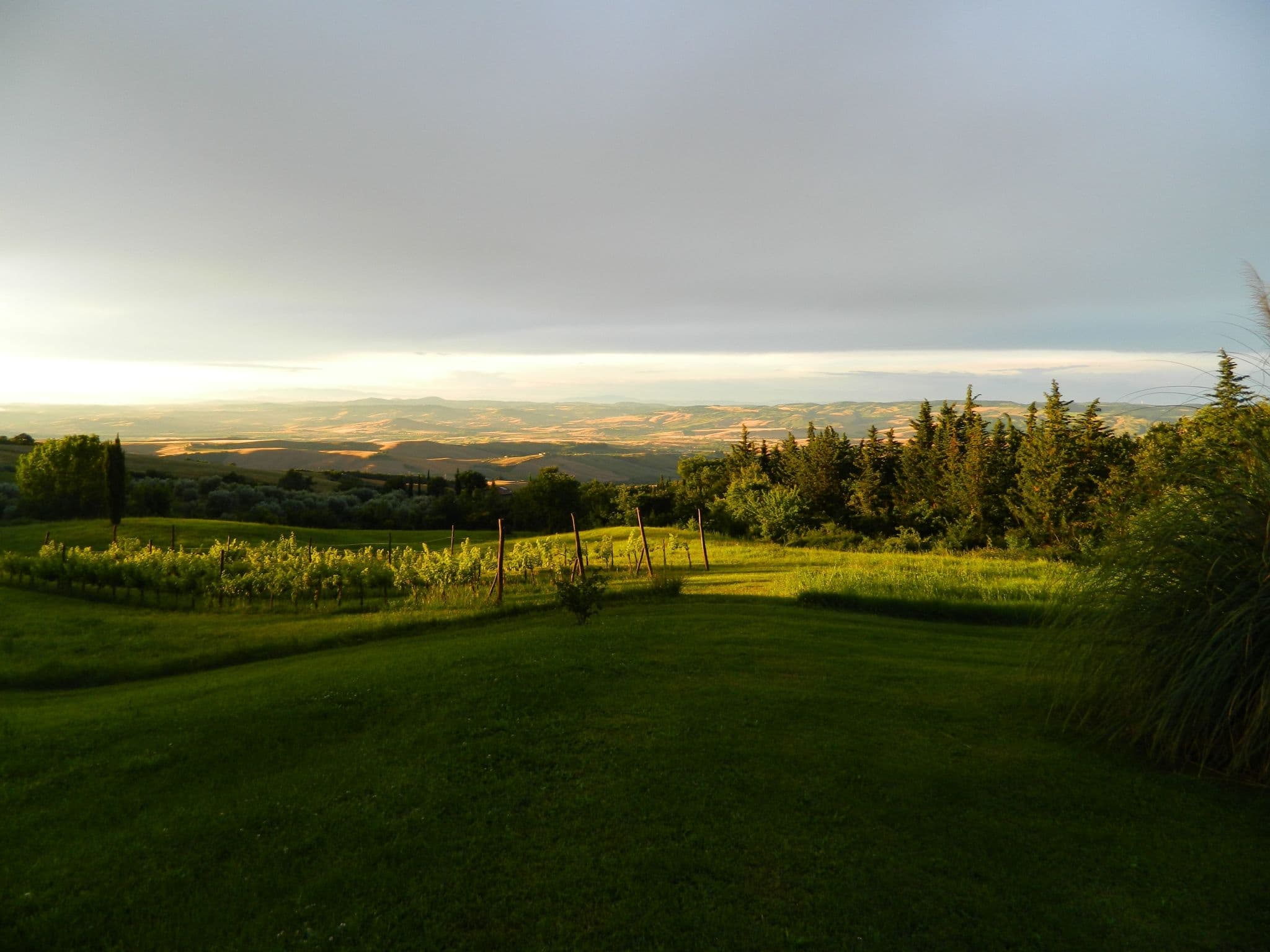 Gallery Image 23