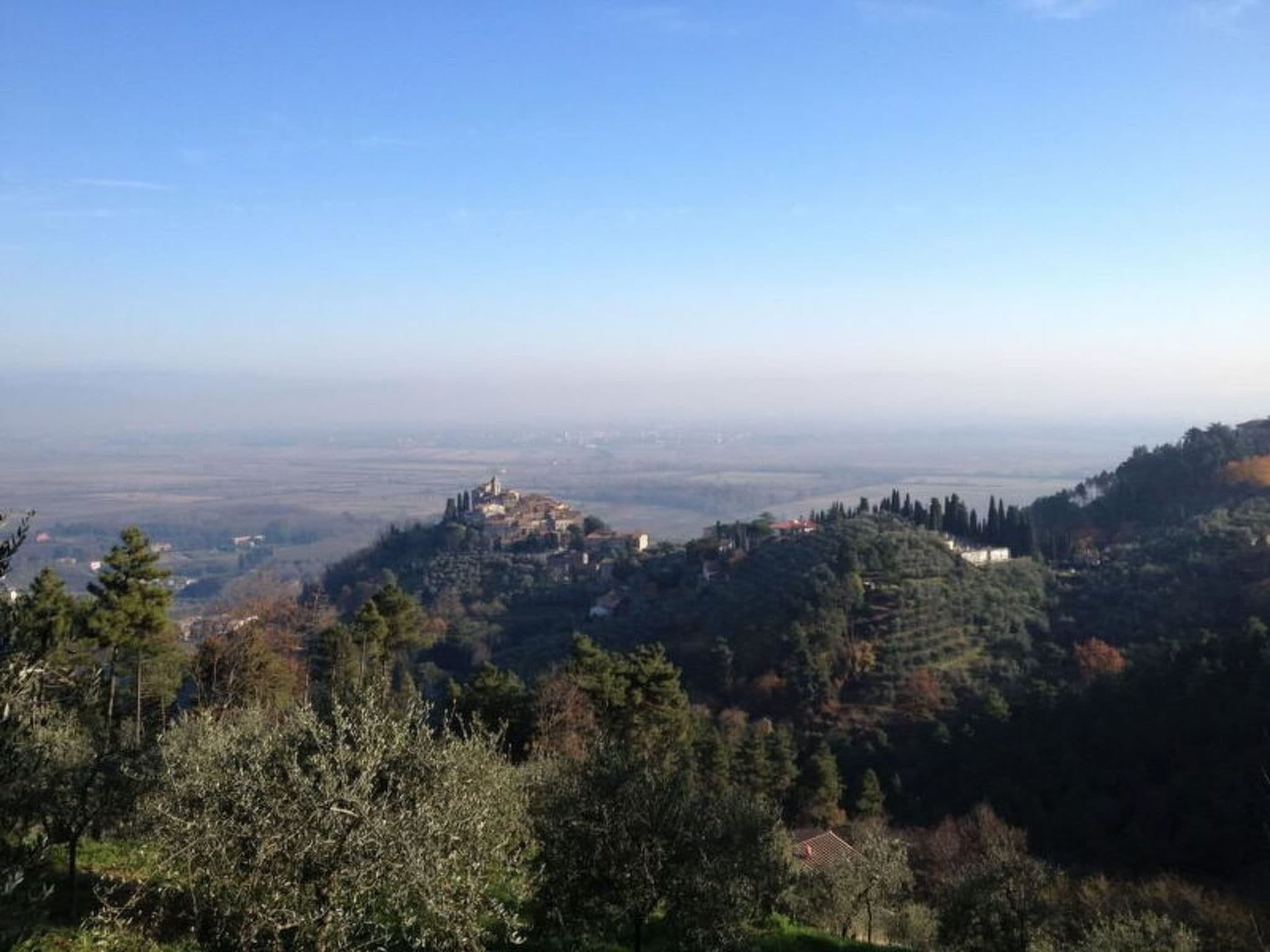 View