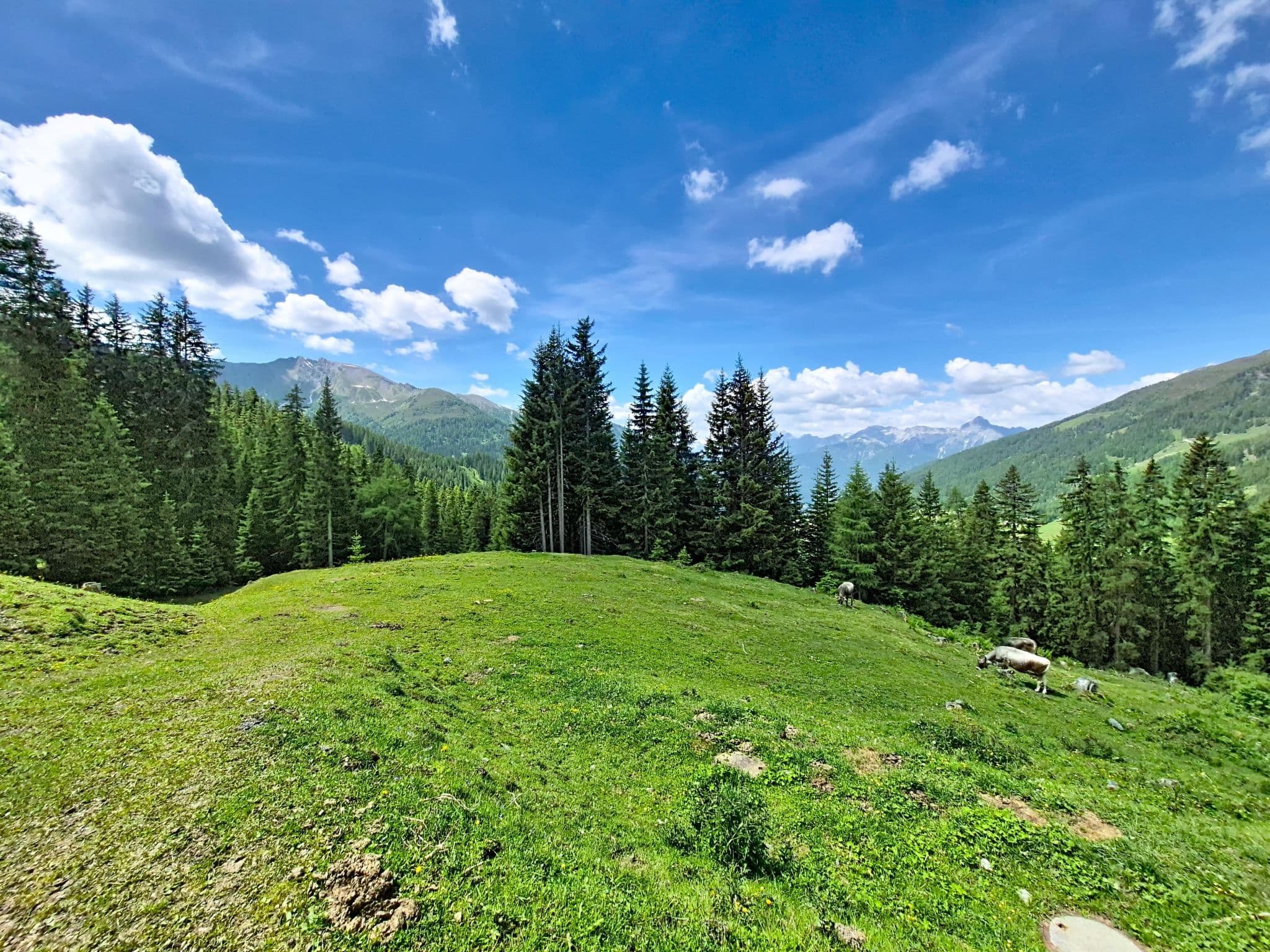 View