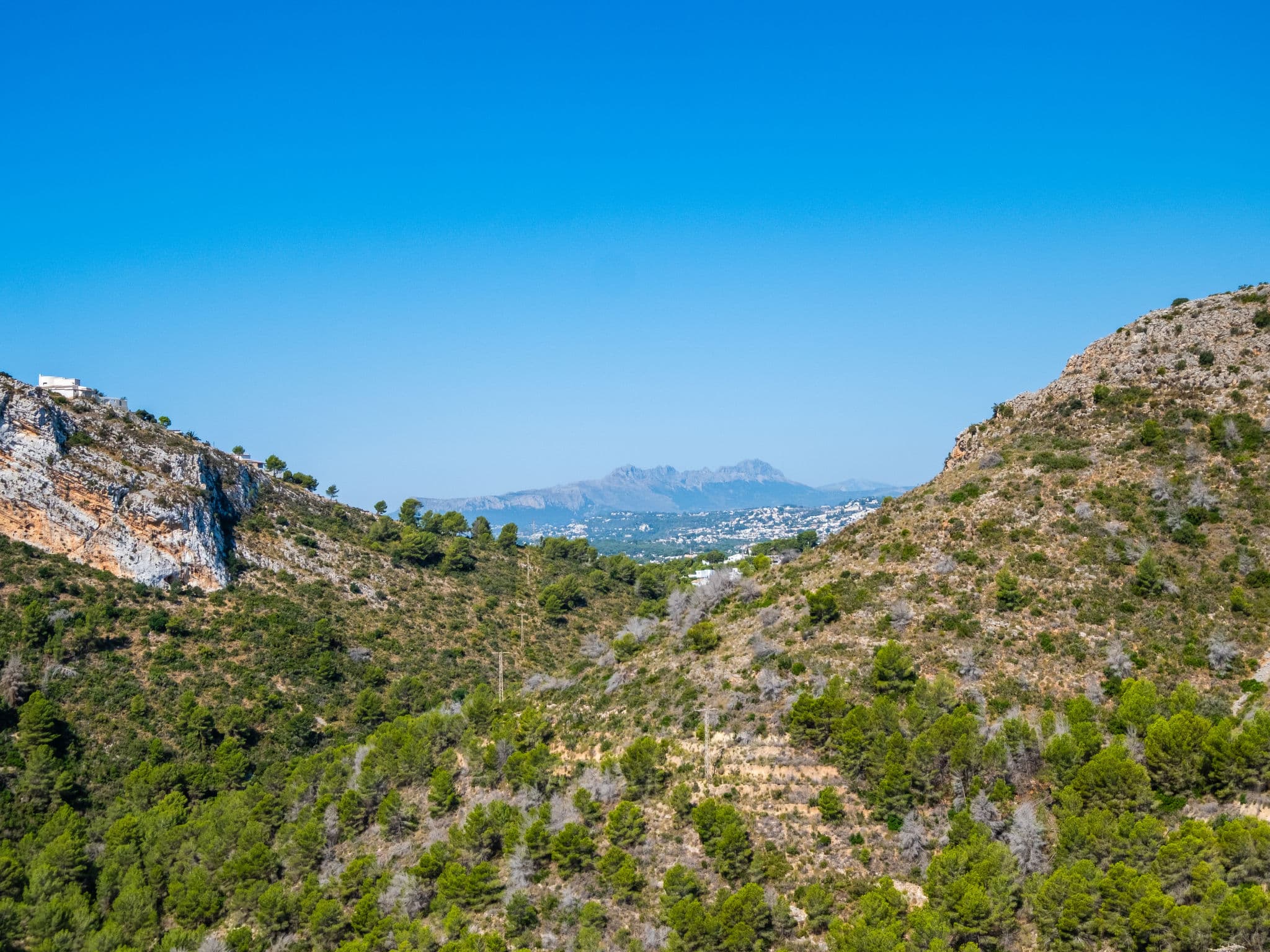 View