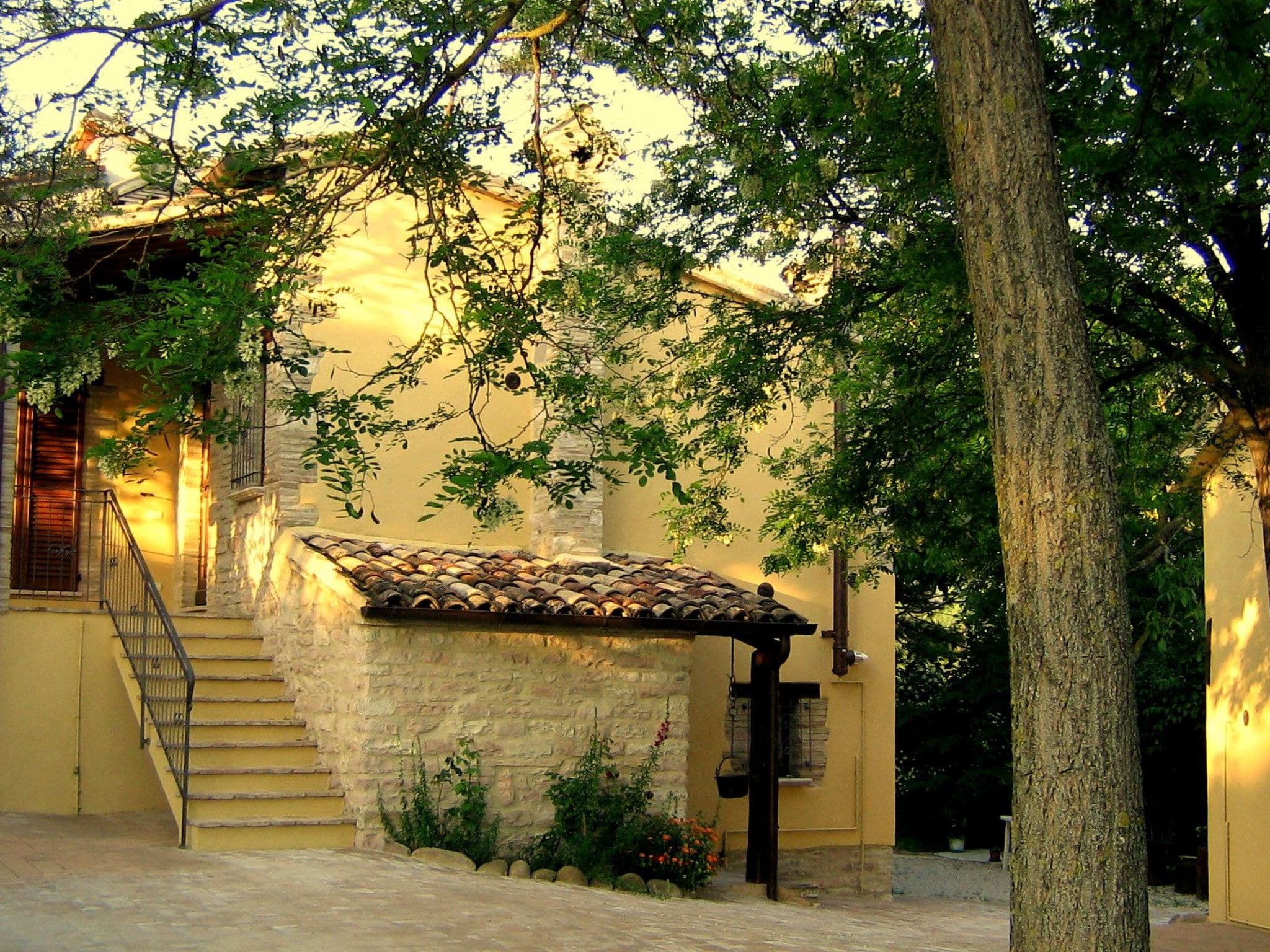 Gallery Image 10