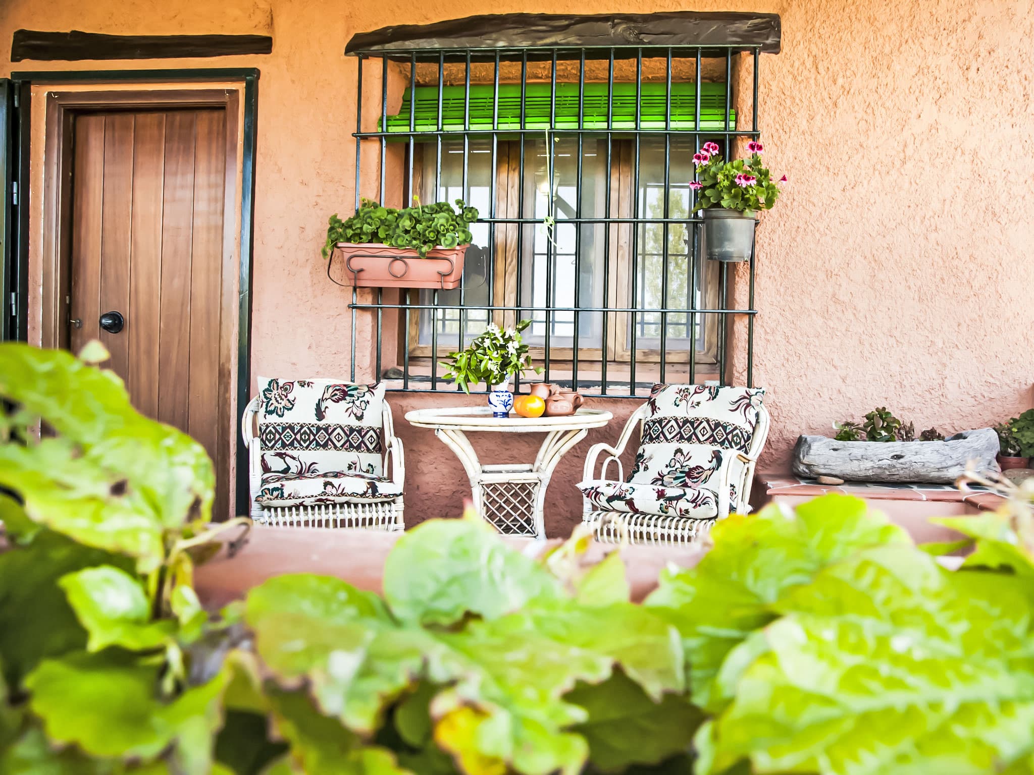 Terrace