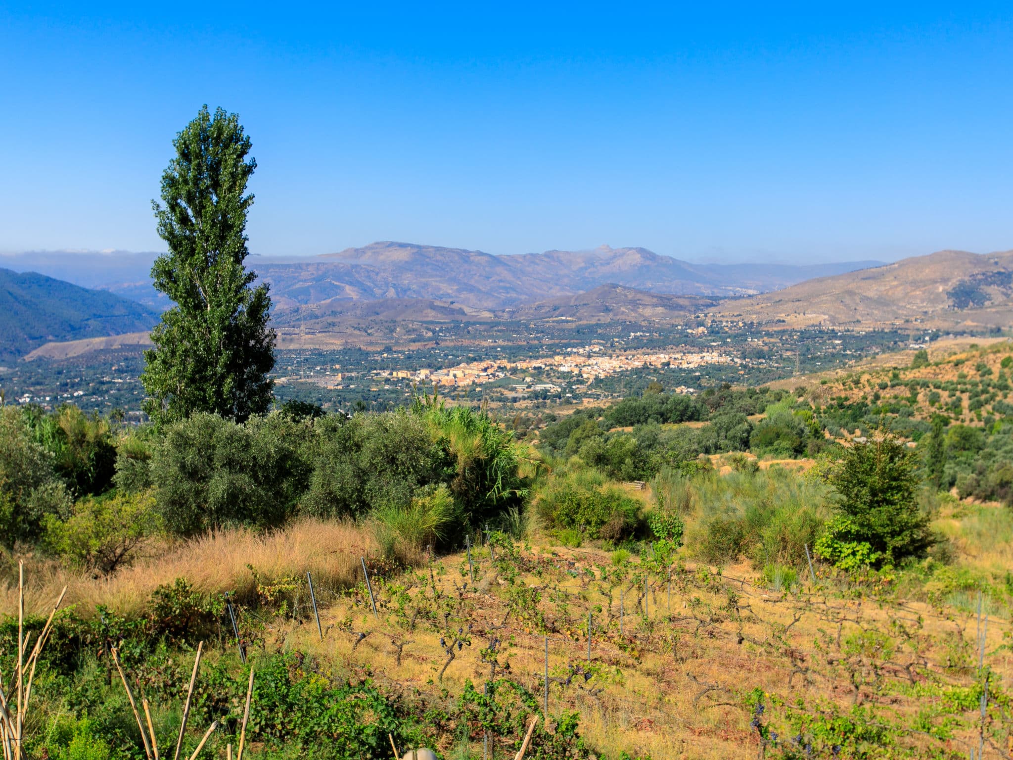 View