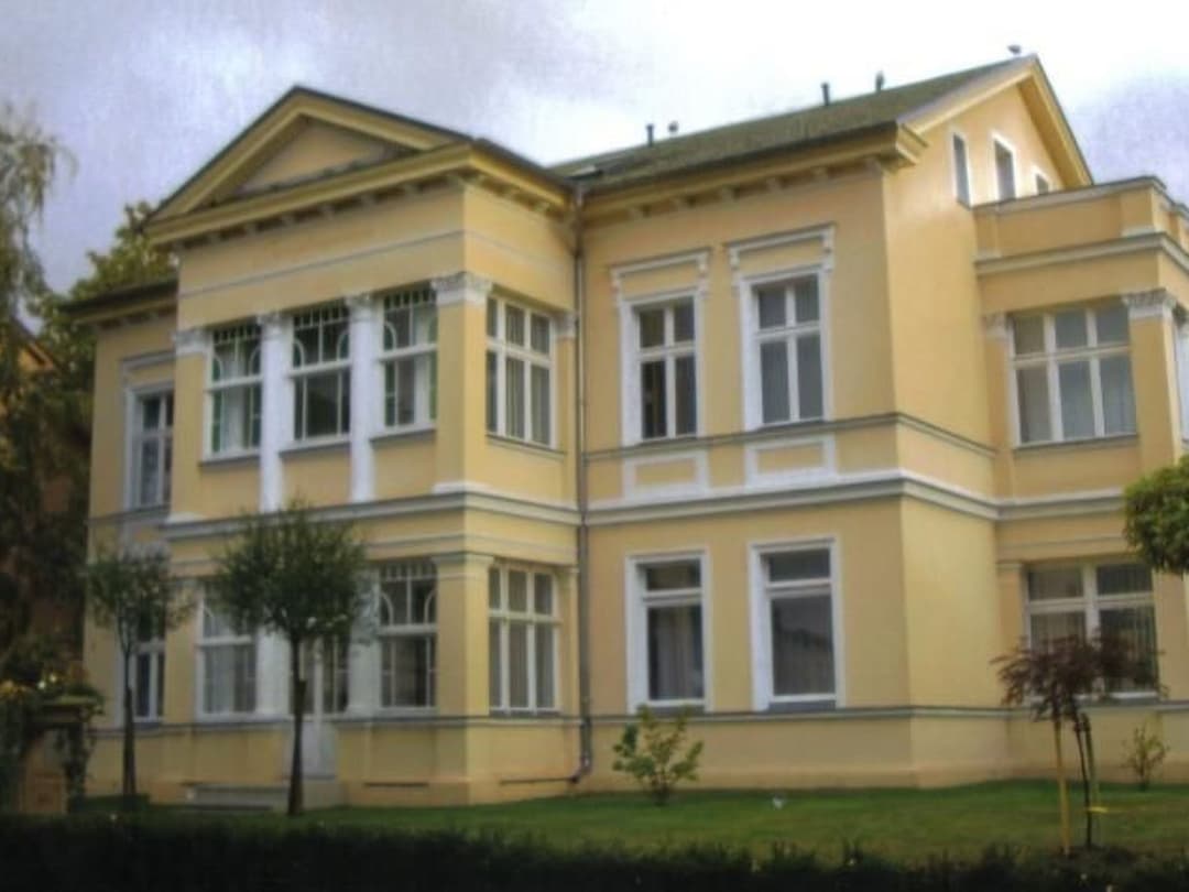 Large Image