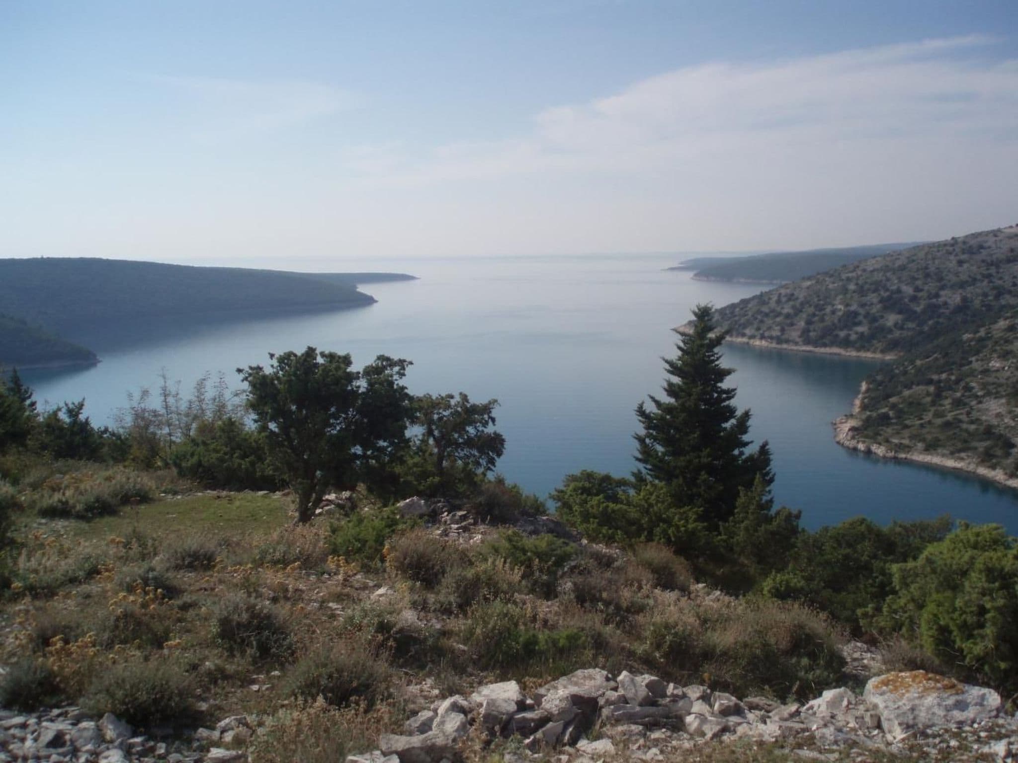 View