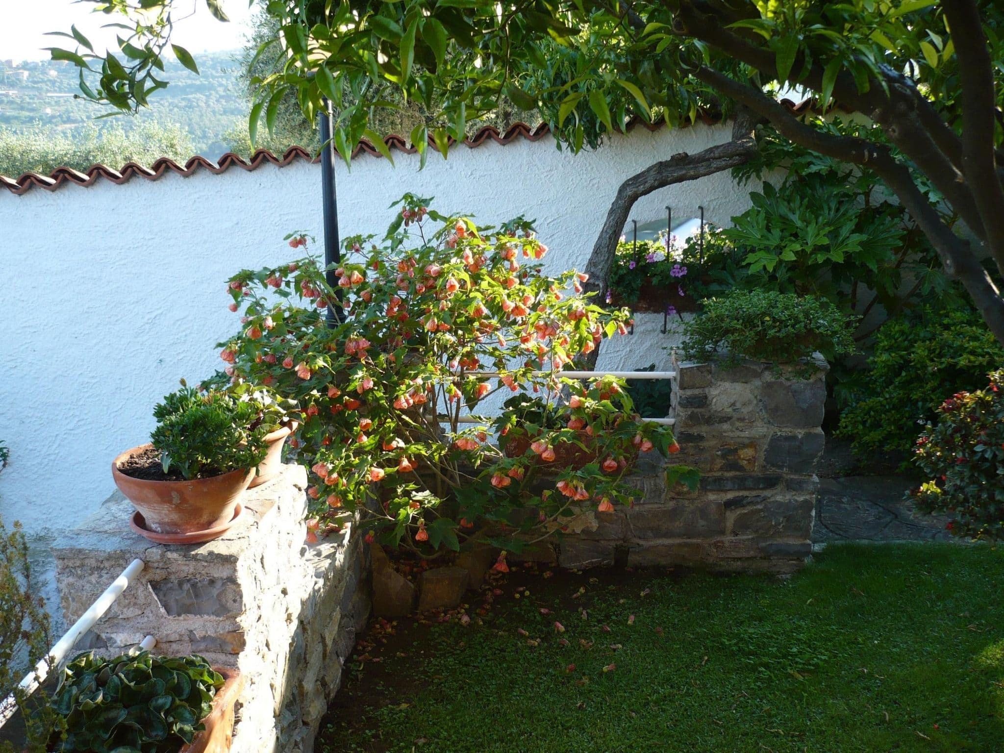Gallery Image 20