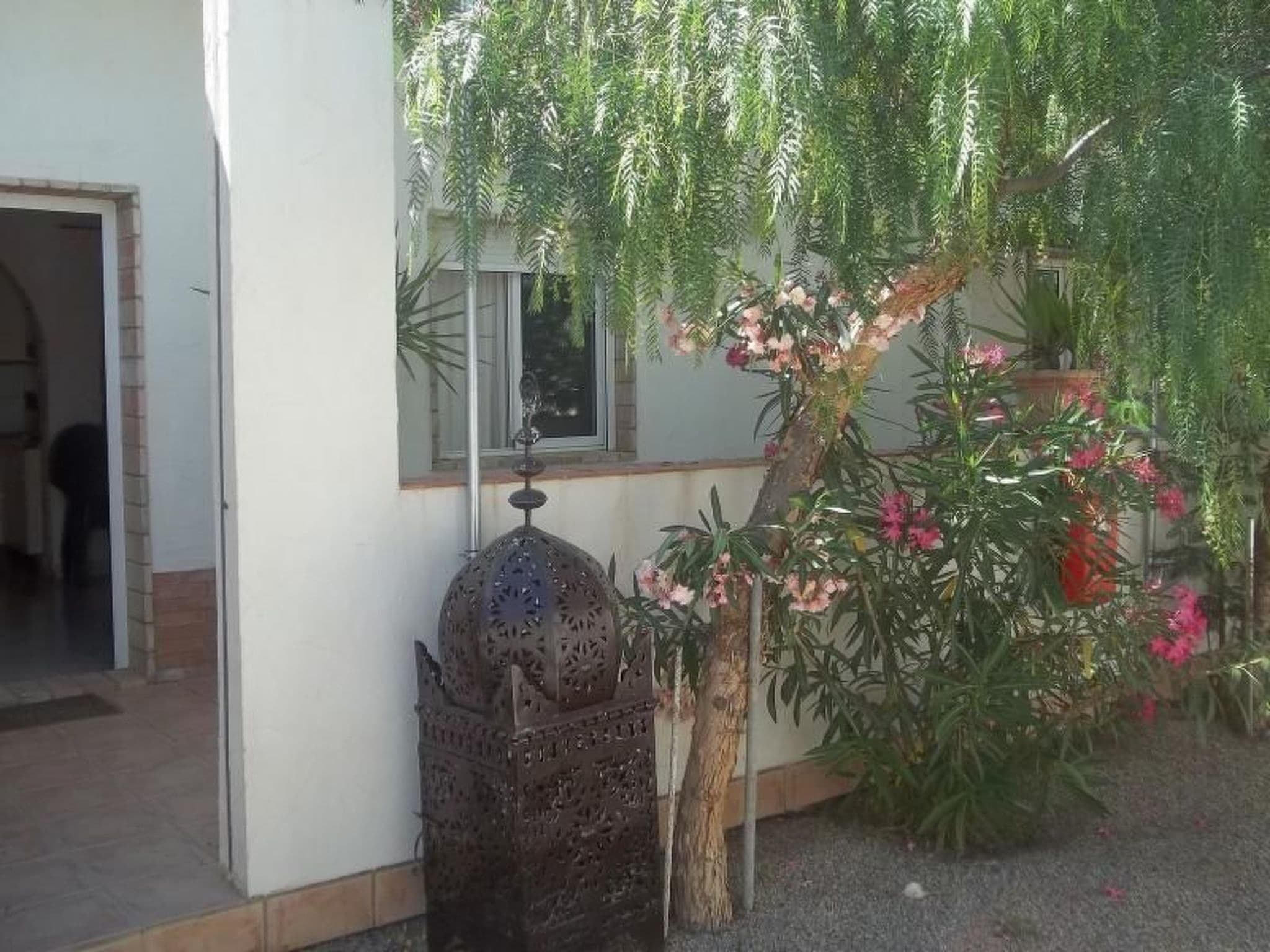 Gallery Image 14