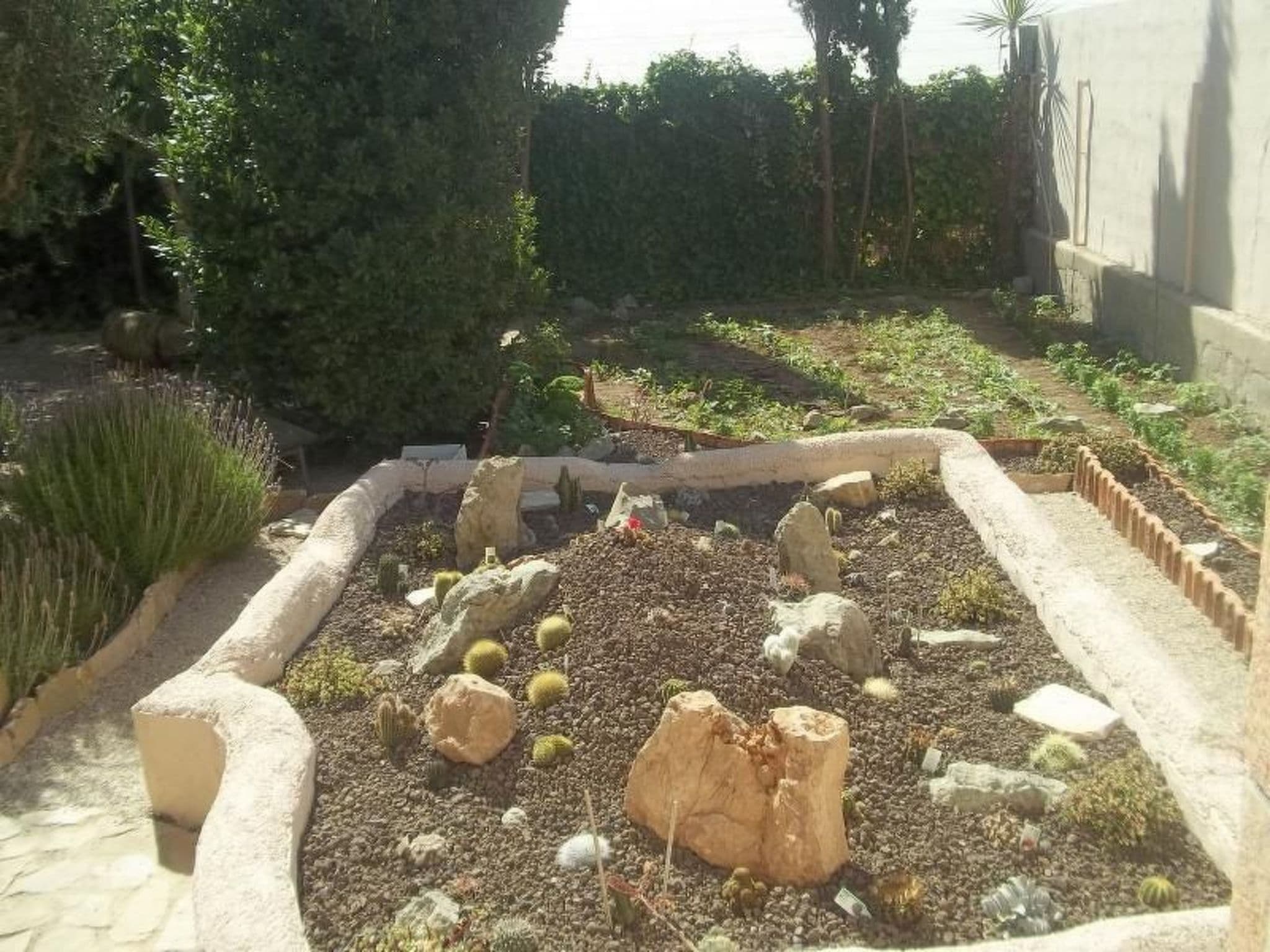 Gallery Image 19