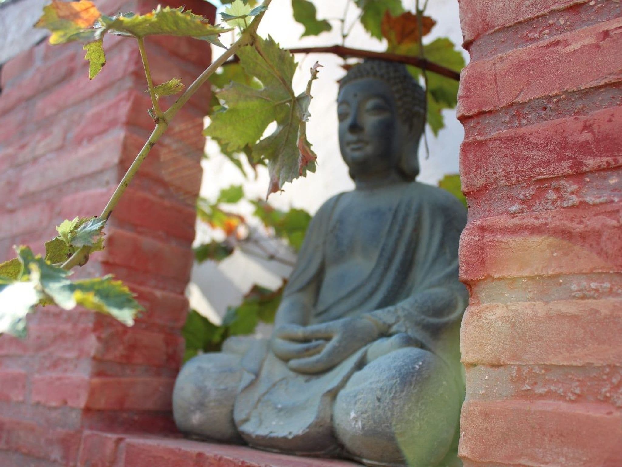 Gallery Image 34
