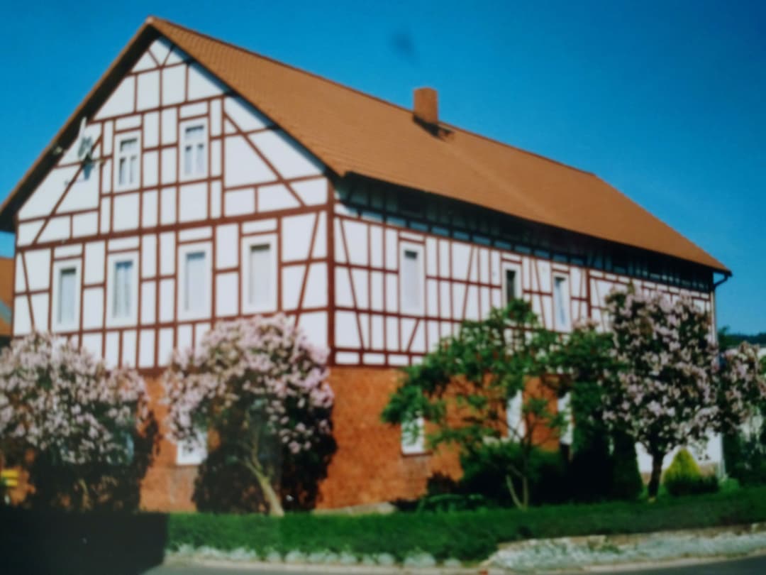 Large Image