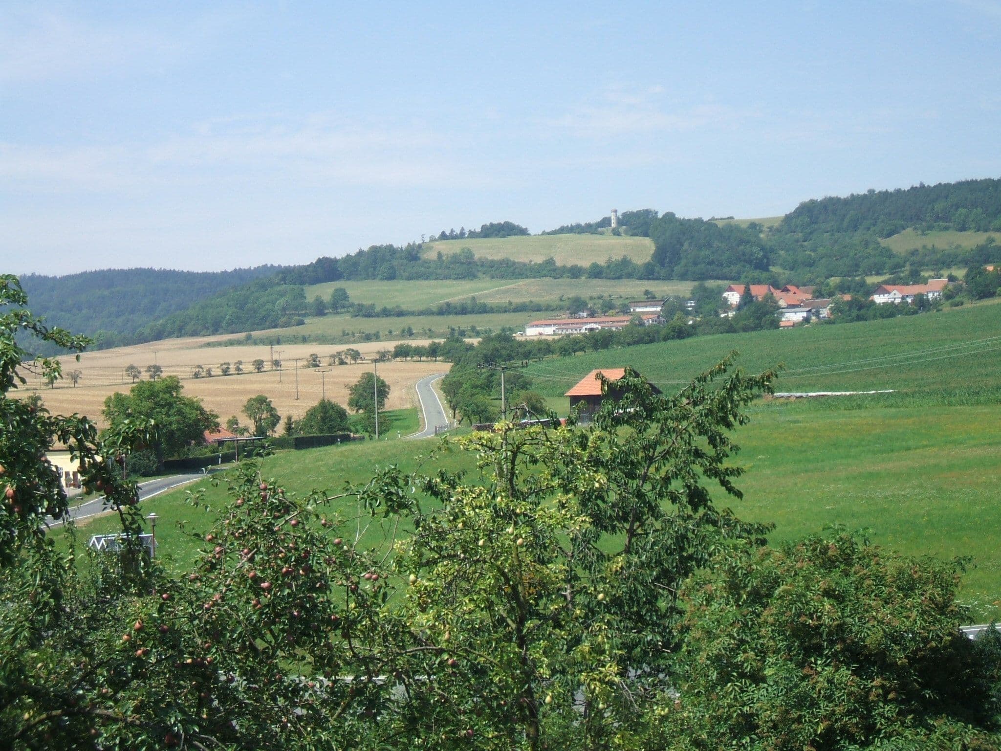 Gallery Image 14
