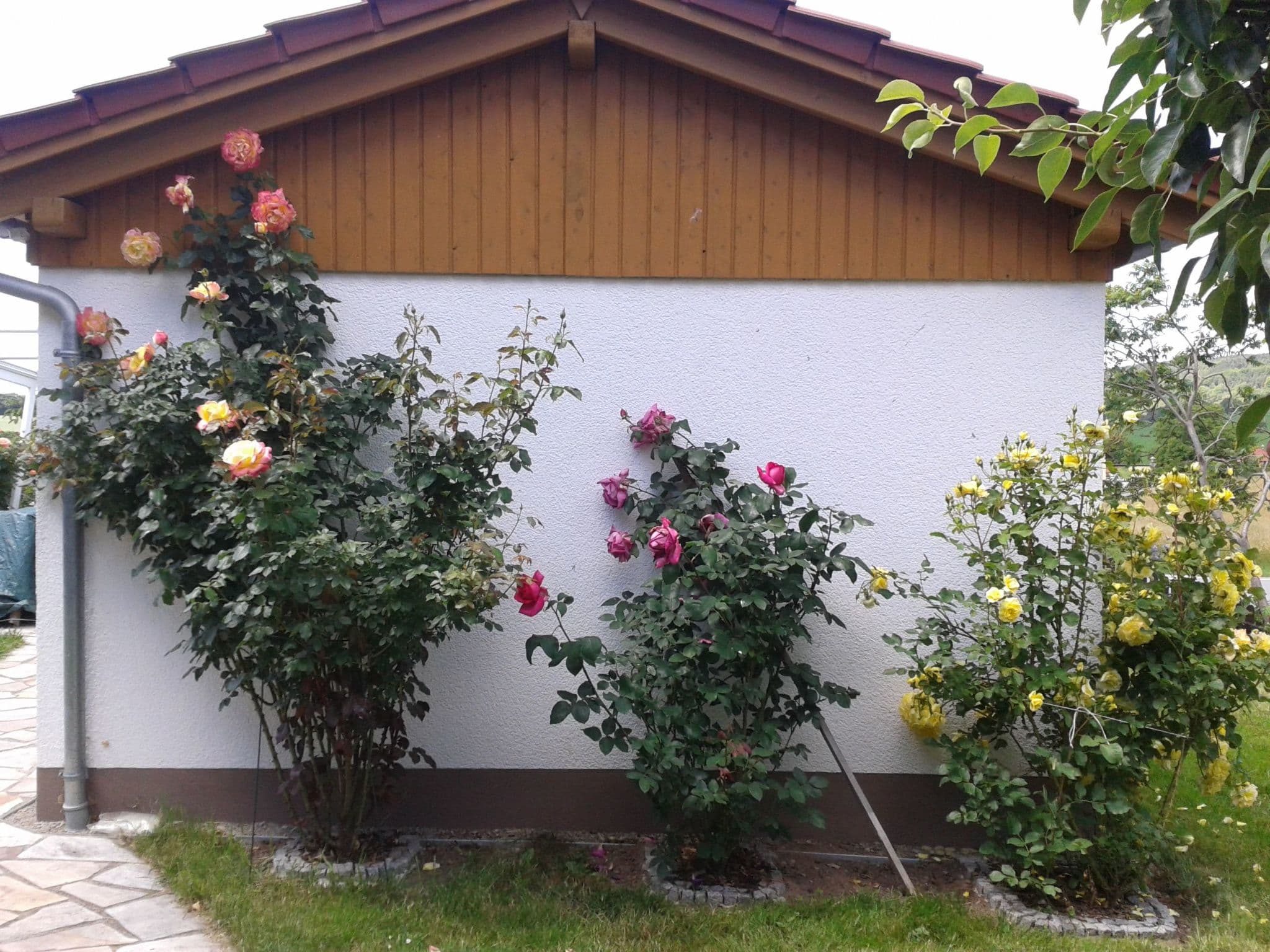 Gallery Image 15