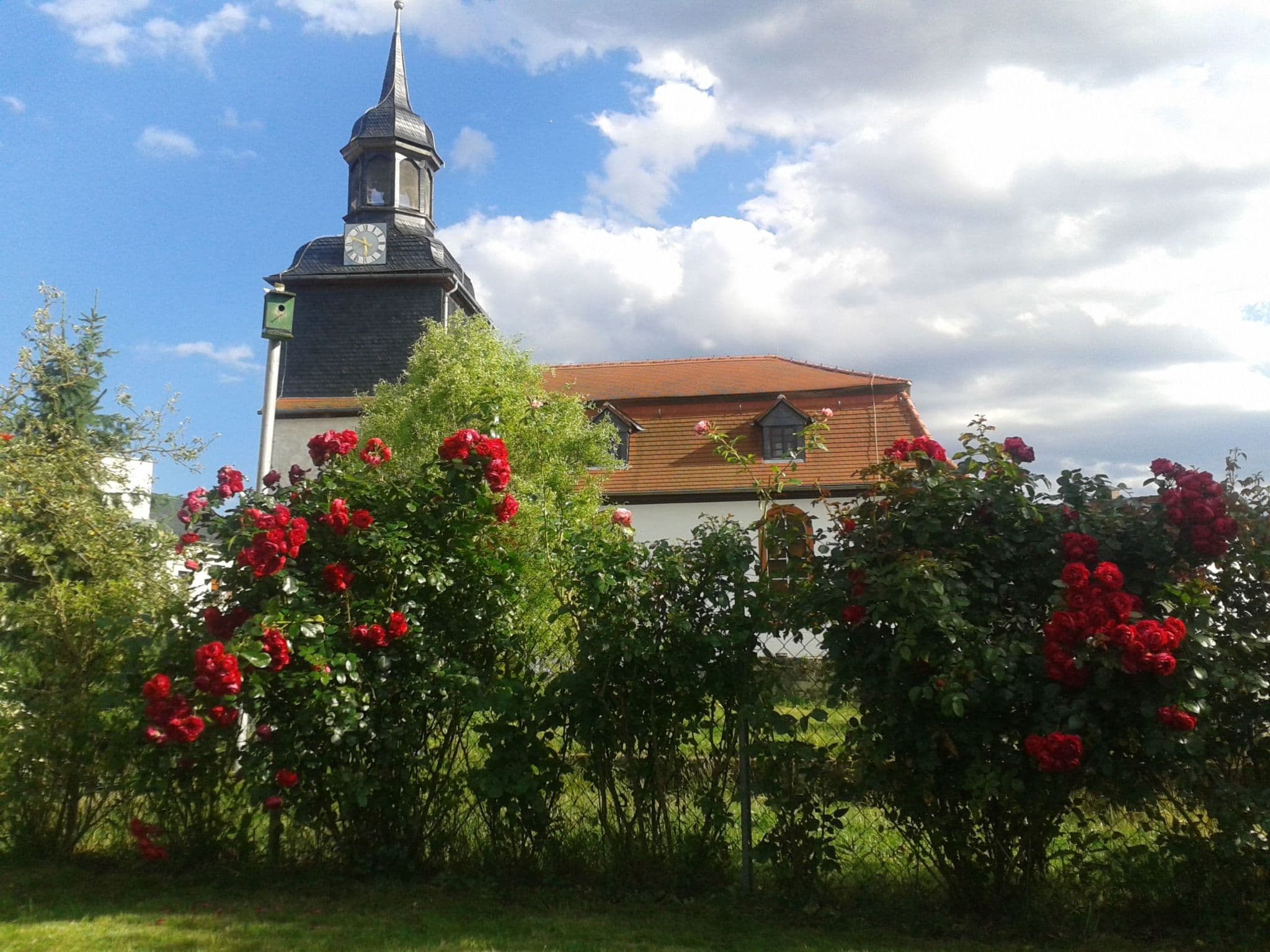Gallery Image 16