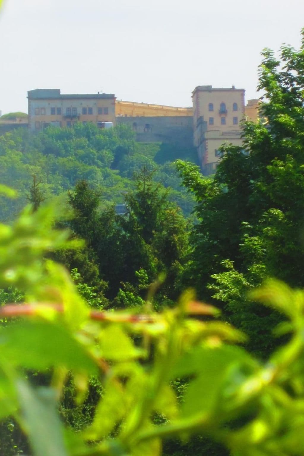 View