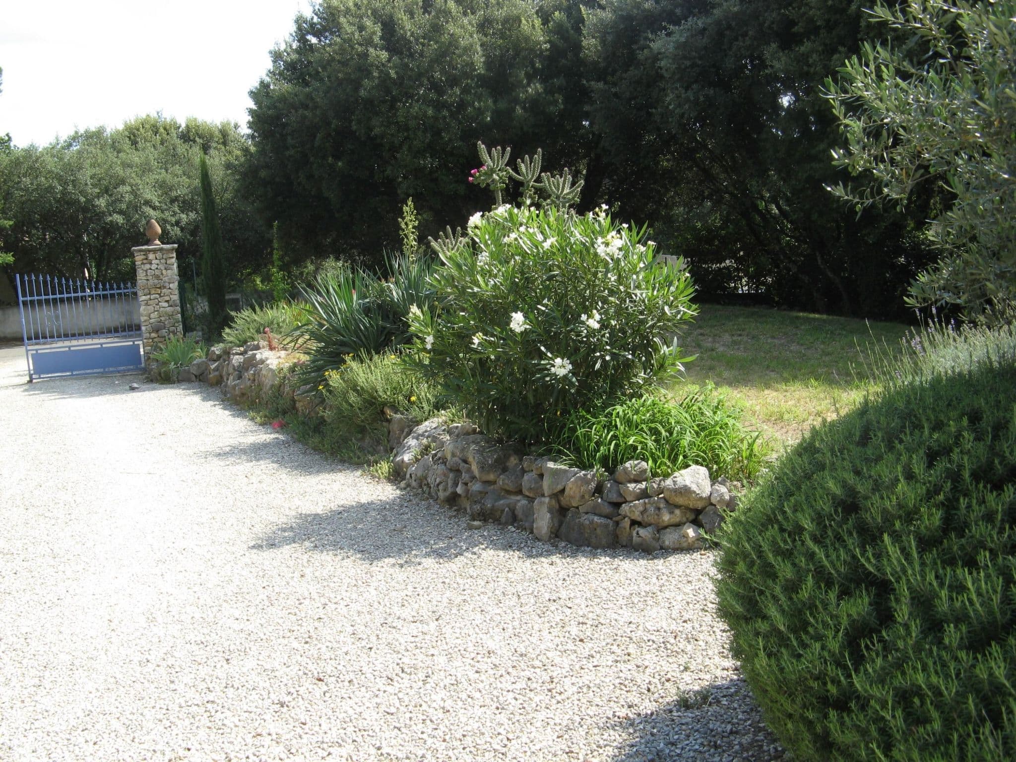 Gallery Image 17