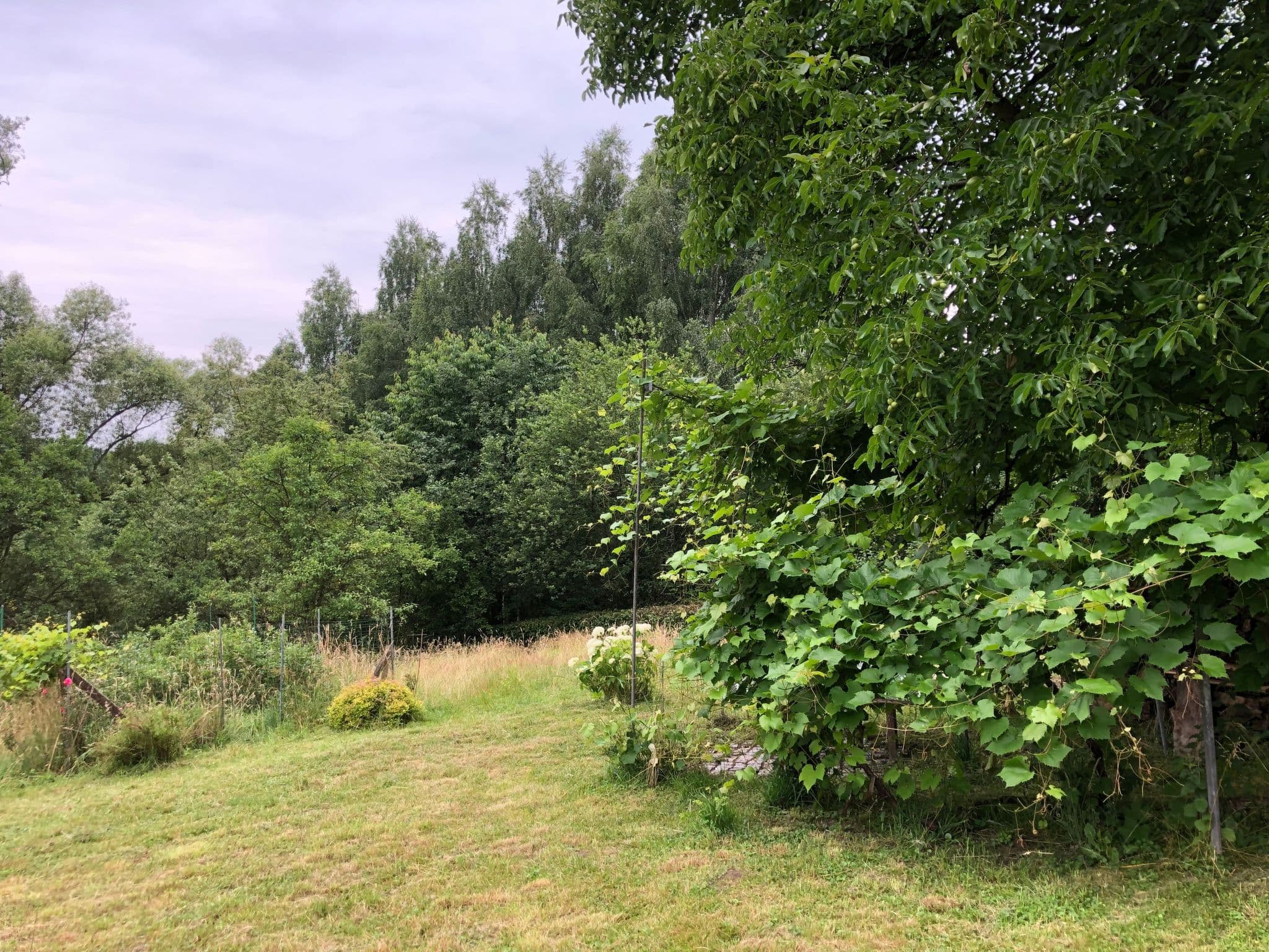 Gallery Image 18