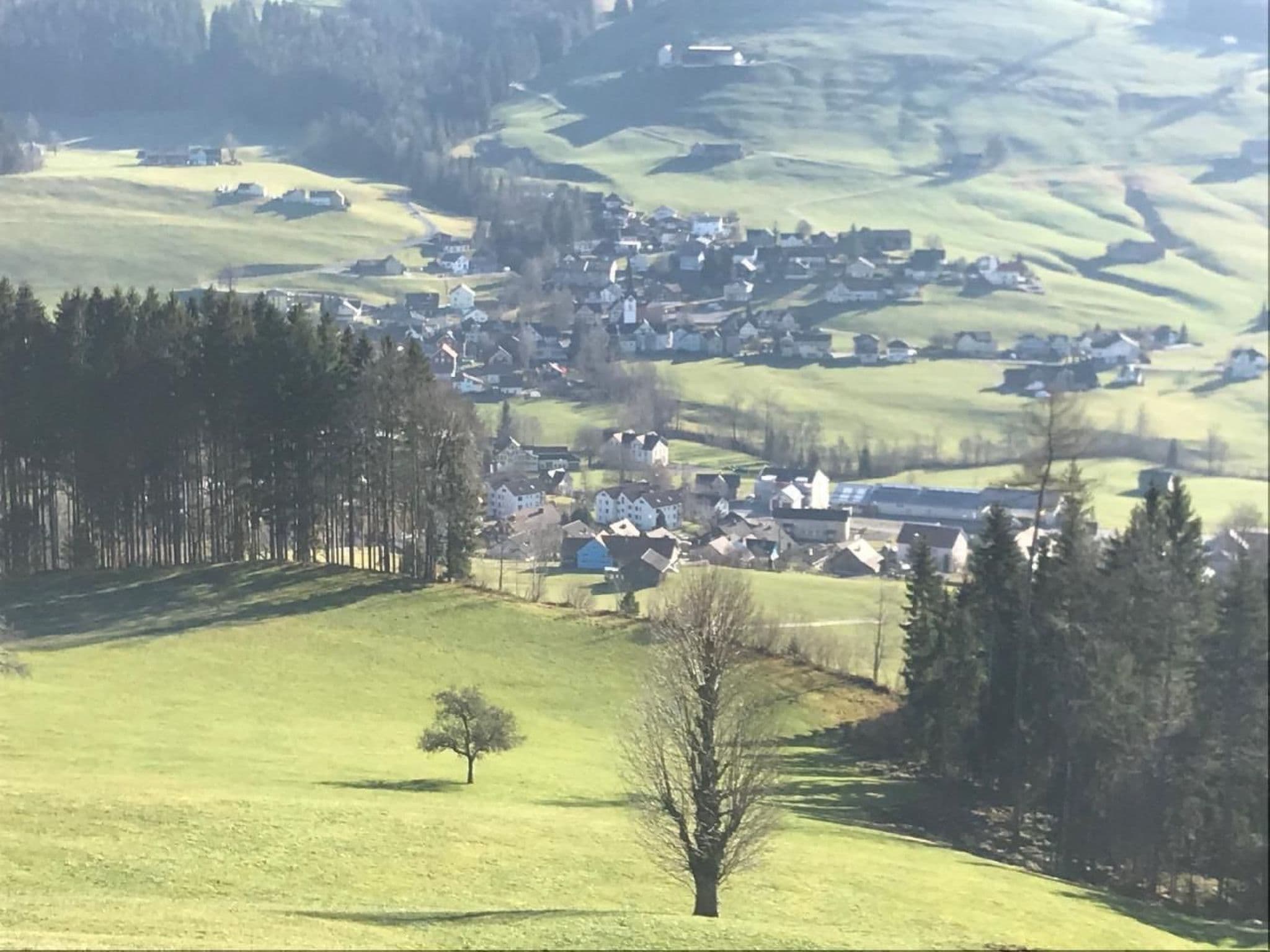 View