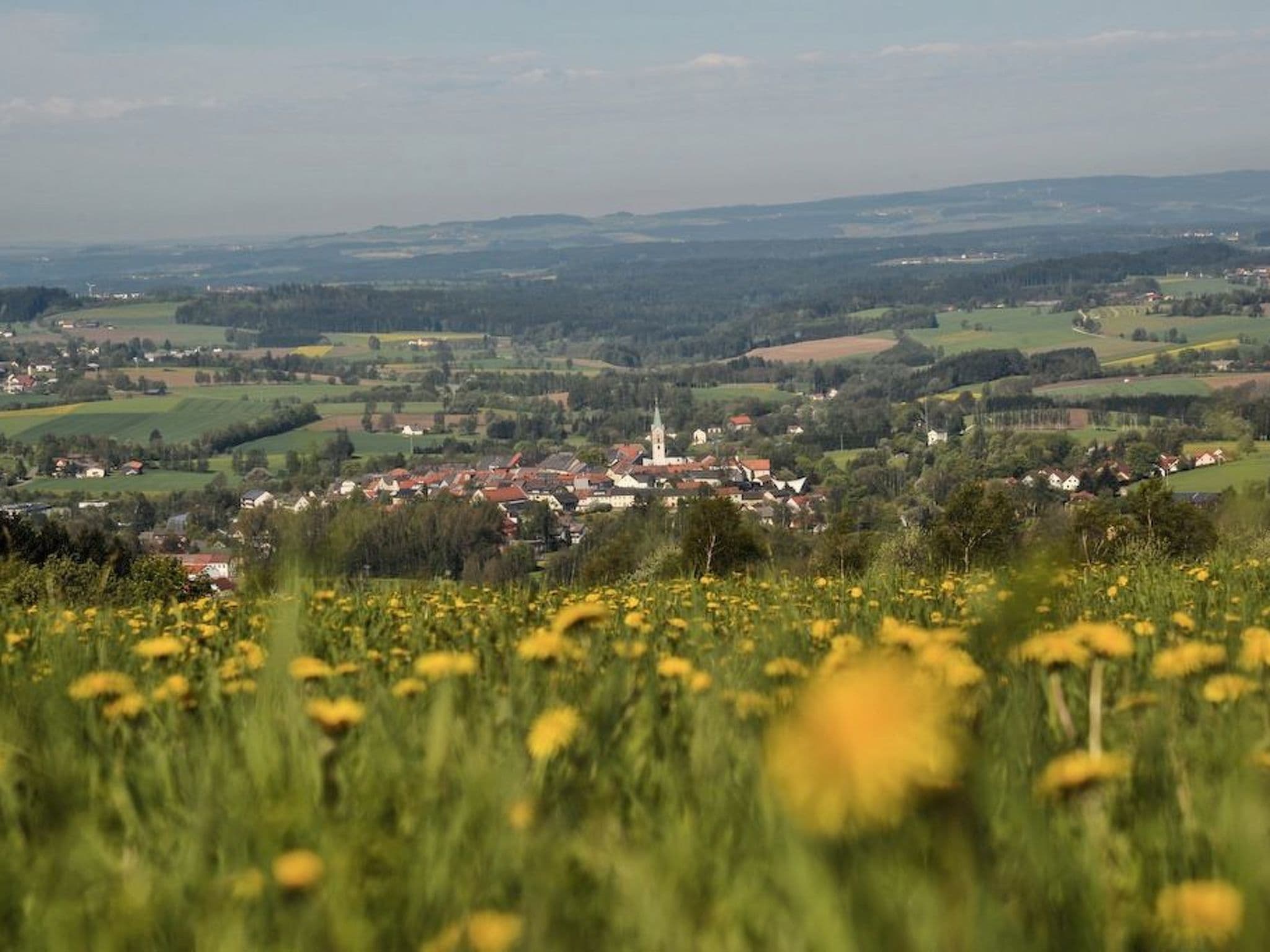 View